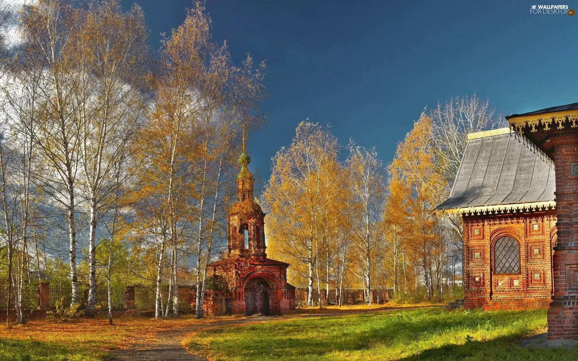 viewes, autumn, decorating, trees, temple