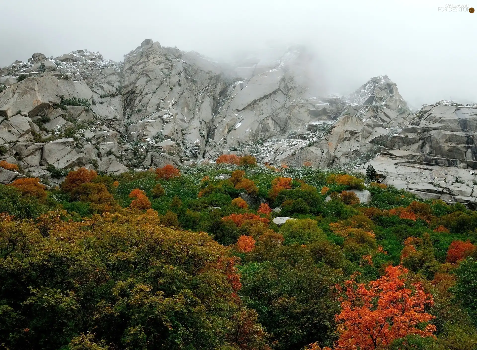 autumn, trees, viewes, Mountains