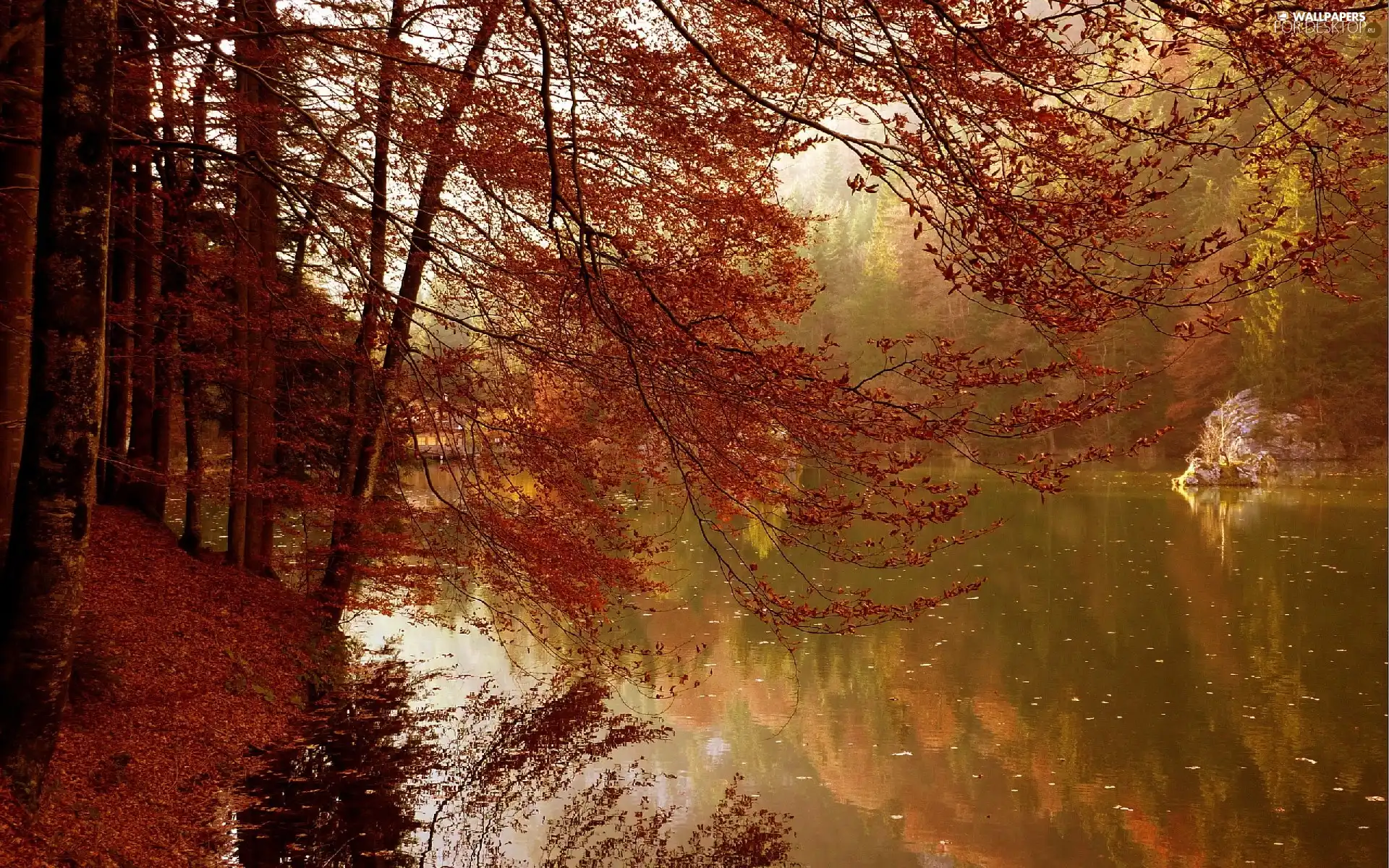 autumn, trees, viewes, River