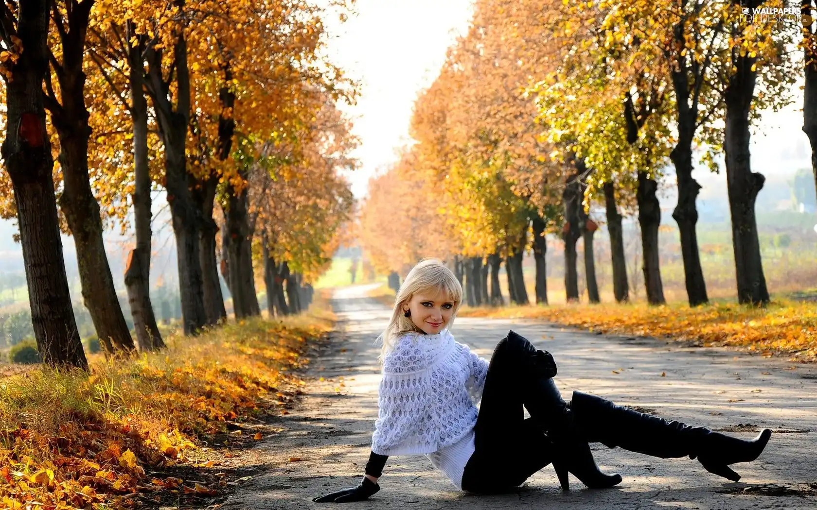 trees, girl, Leaf, Way, young, viewes, autumn