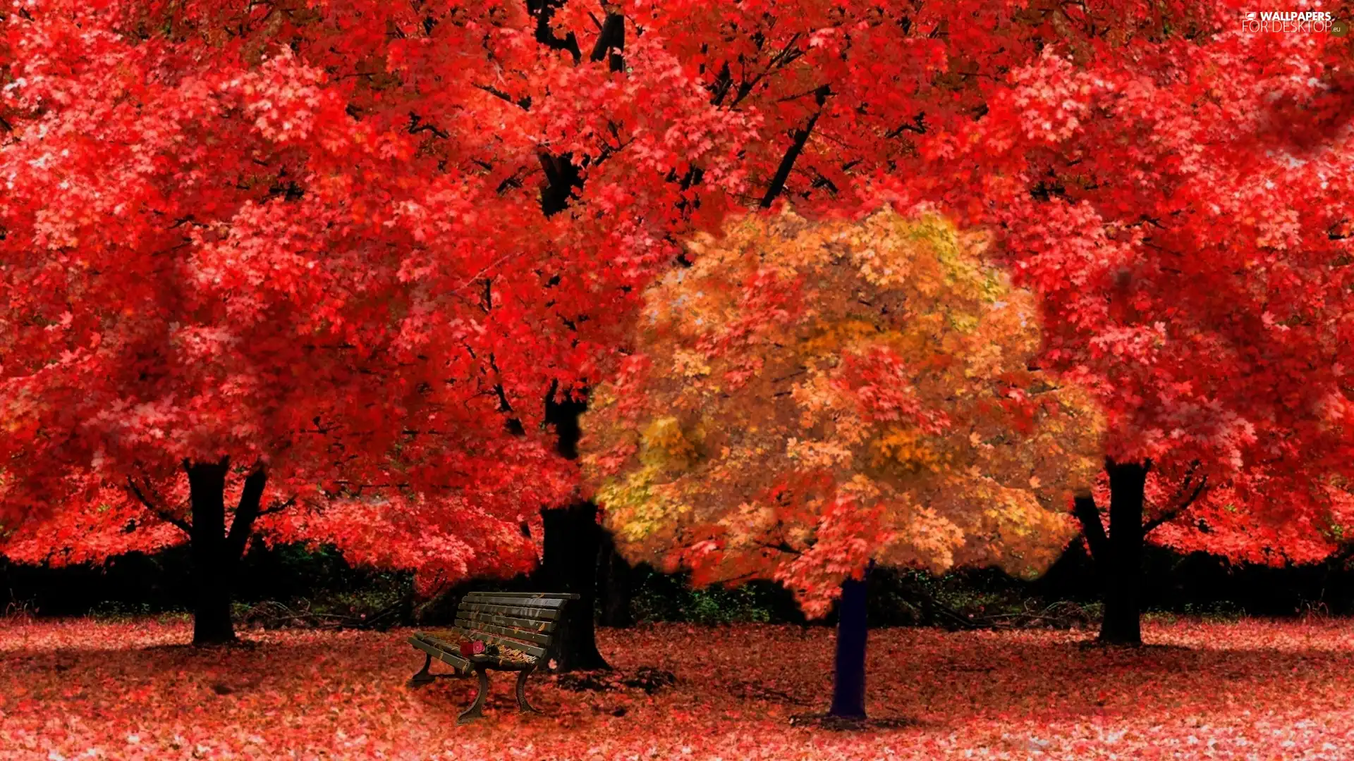 viewes, Bench, Red, trees, autumn