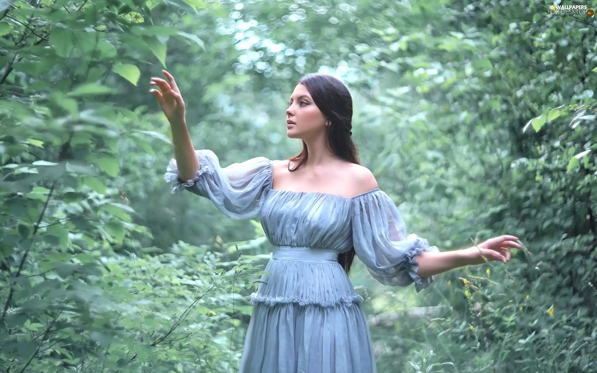 trees, viewes, Blue, dress, Women