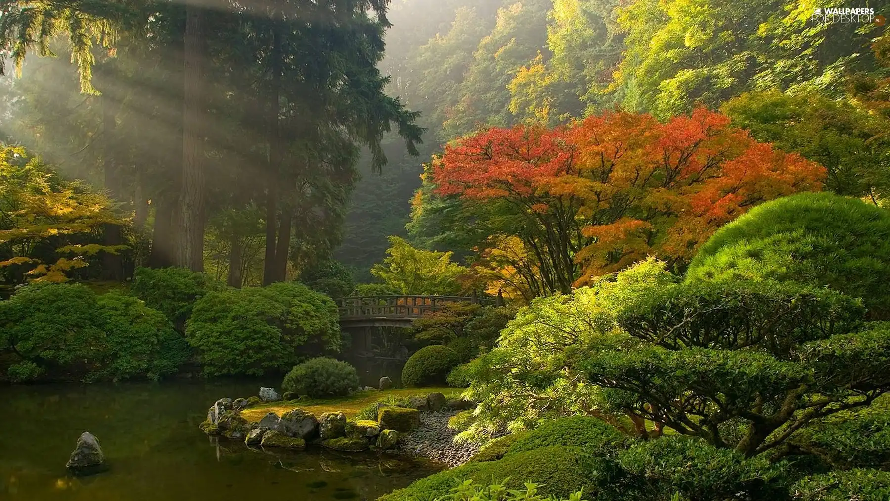 viewes, Bush, brook, trees, bridges