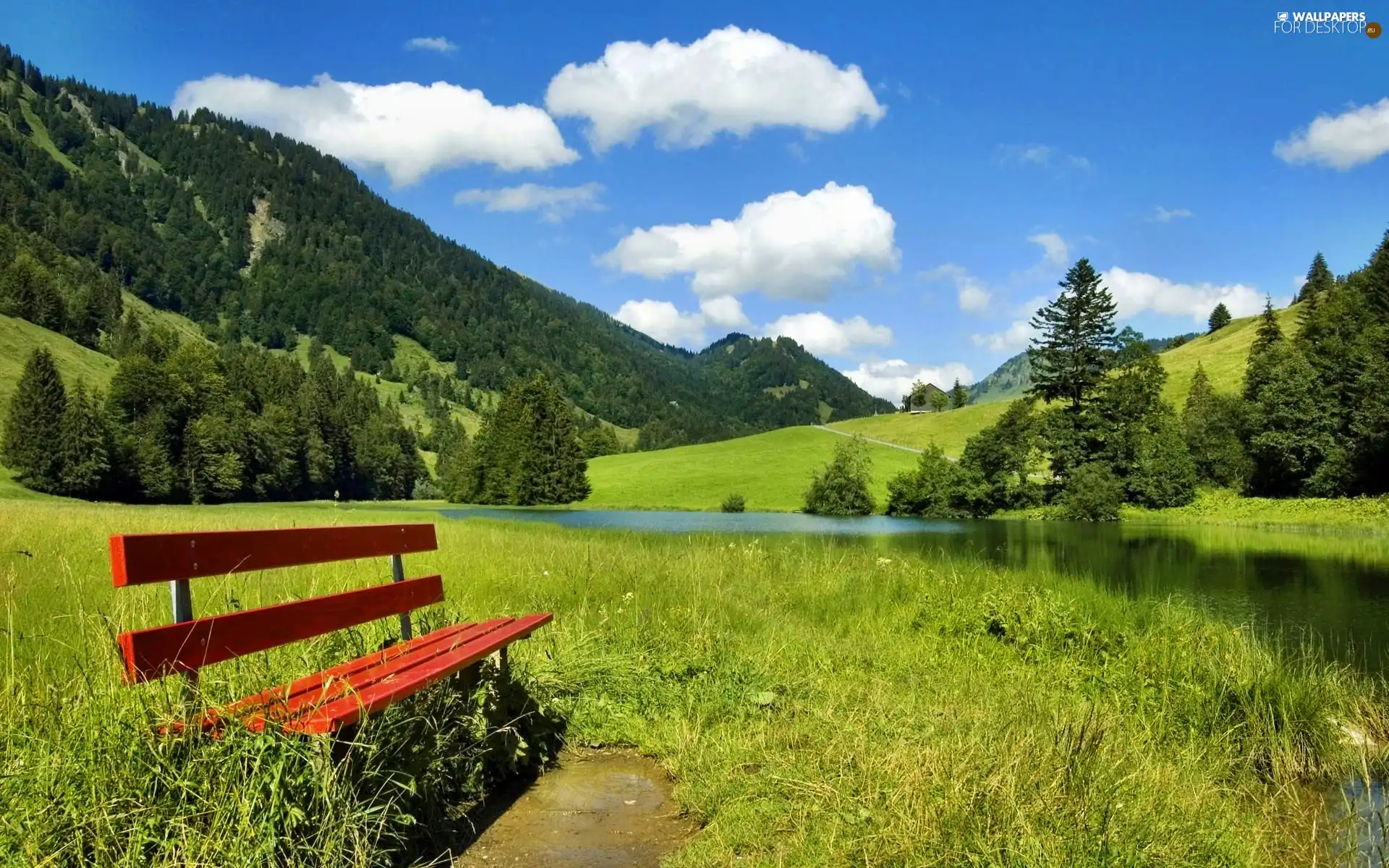viewes, The Hills, by, river, Bench, trees