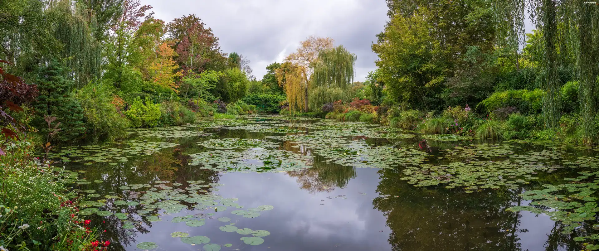 Bush, grass, trees, viewes, Pond - car