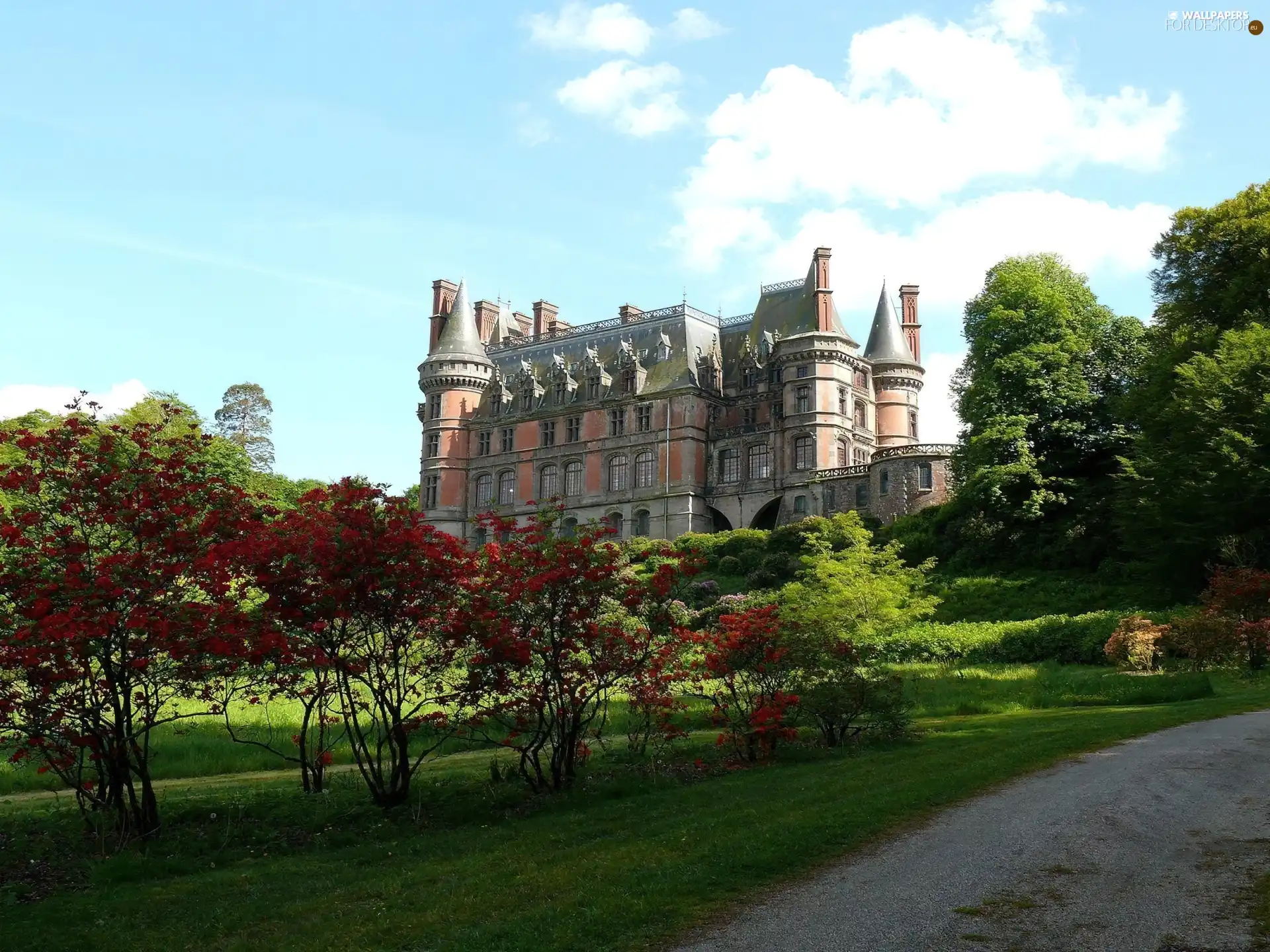 Castle, trees, viewes, lane