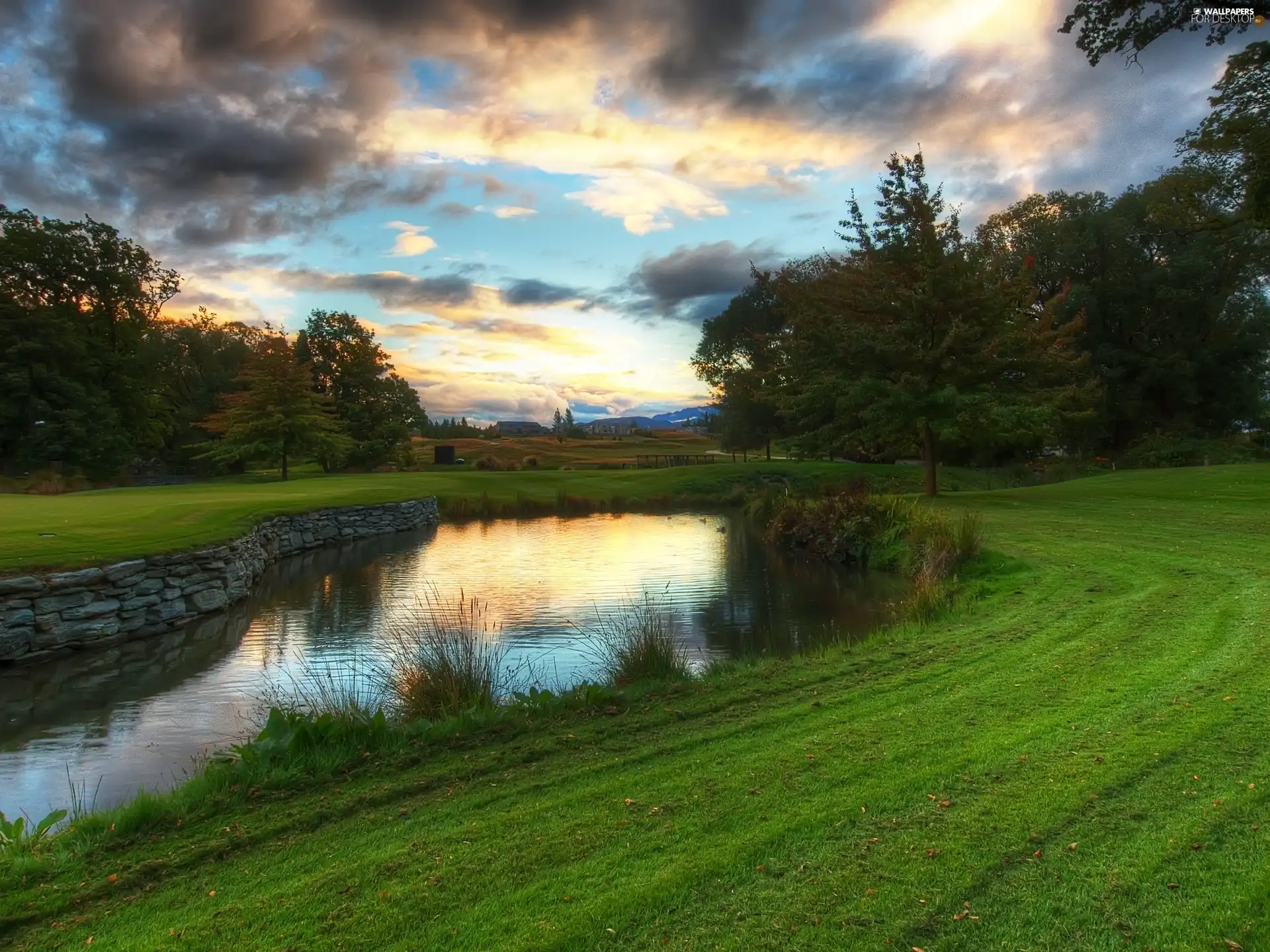 viewes, clouds, grass, trees, brook