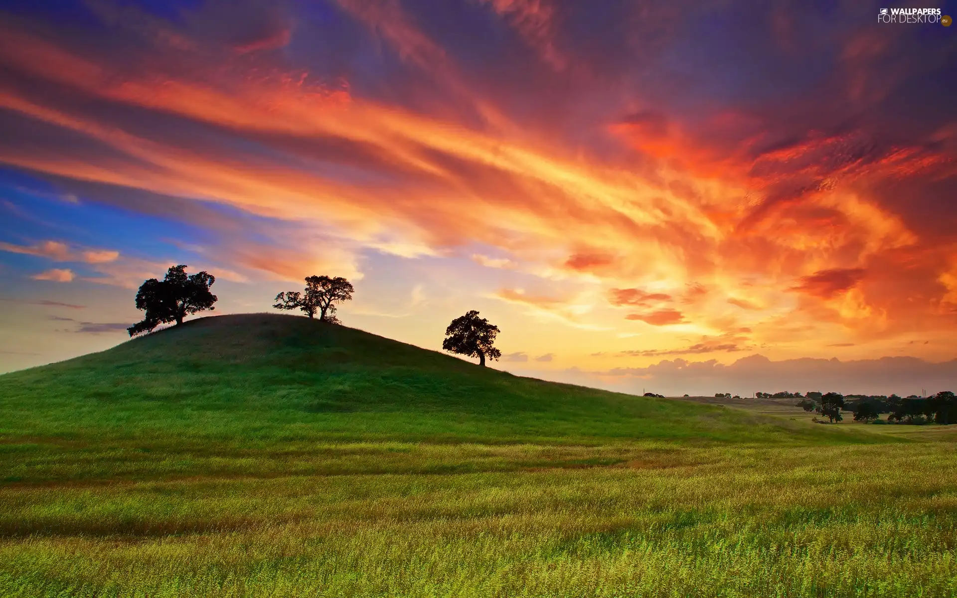 viewes, clouds, Meadow, trees, mountains