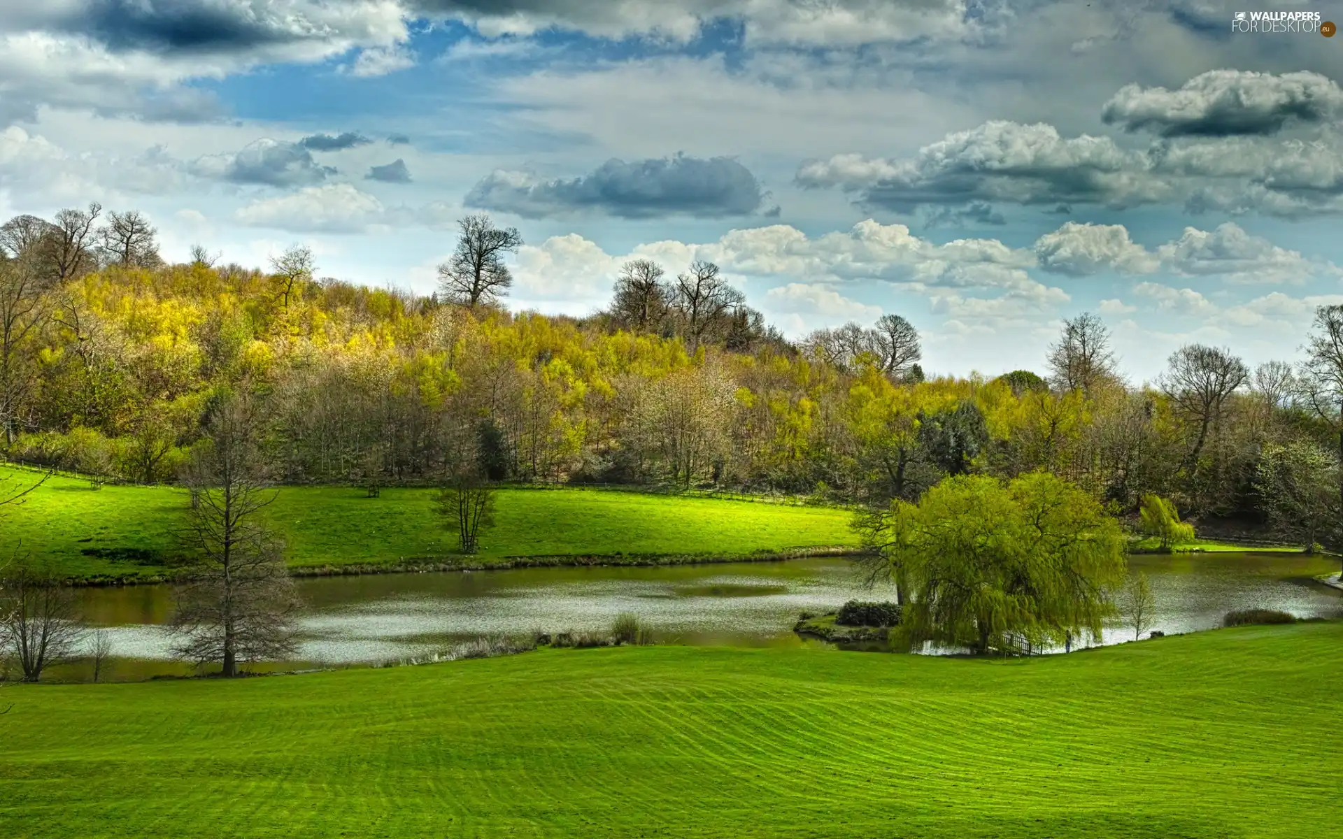 viewes, clouds, Meadow, trees, River