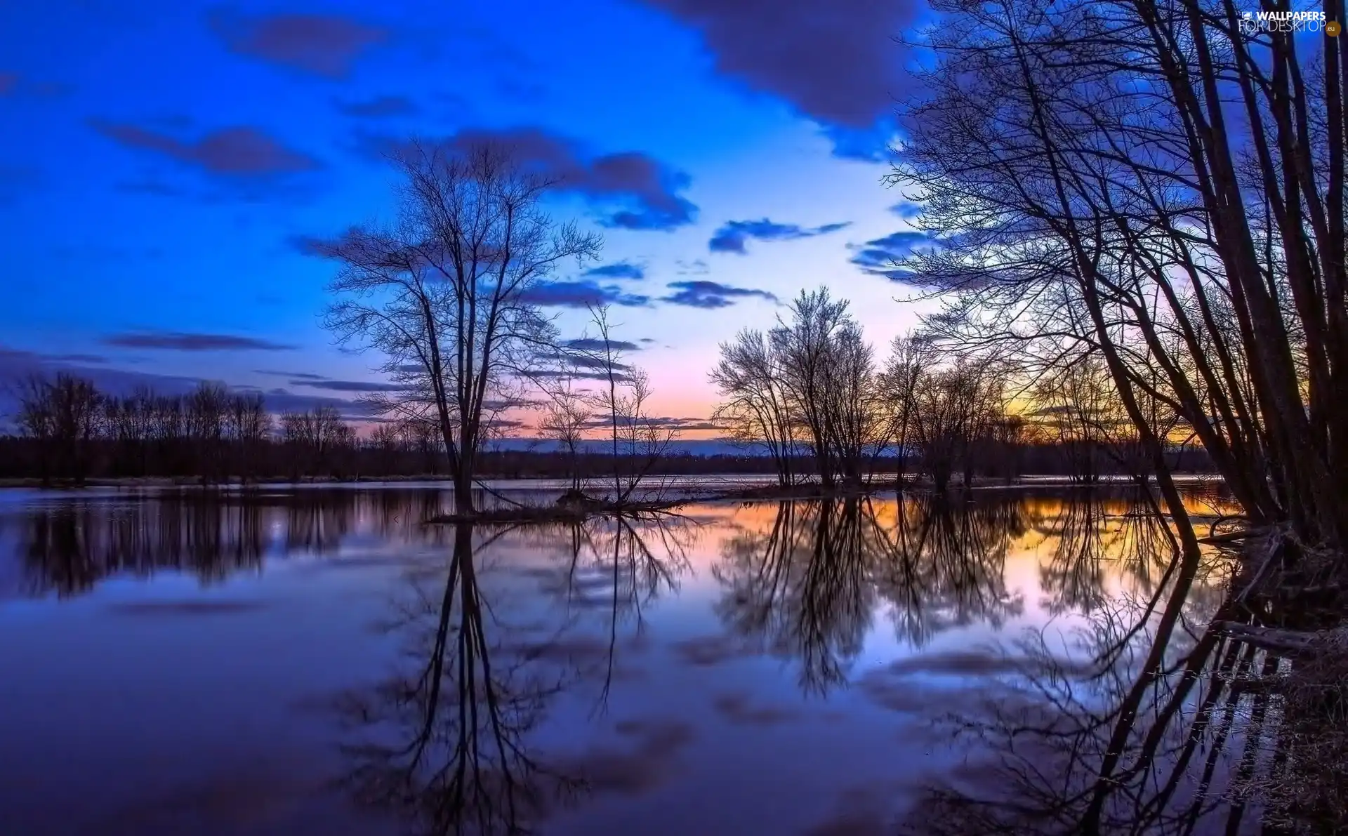 viewes, lake, clouds, Great Sunsets, reflection, trees