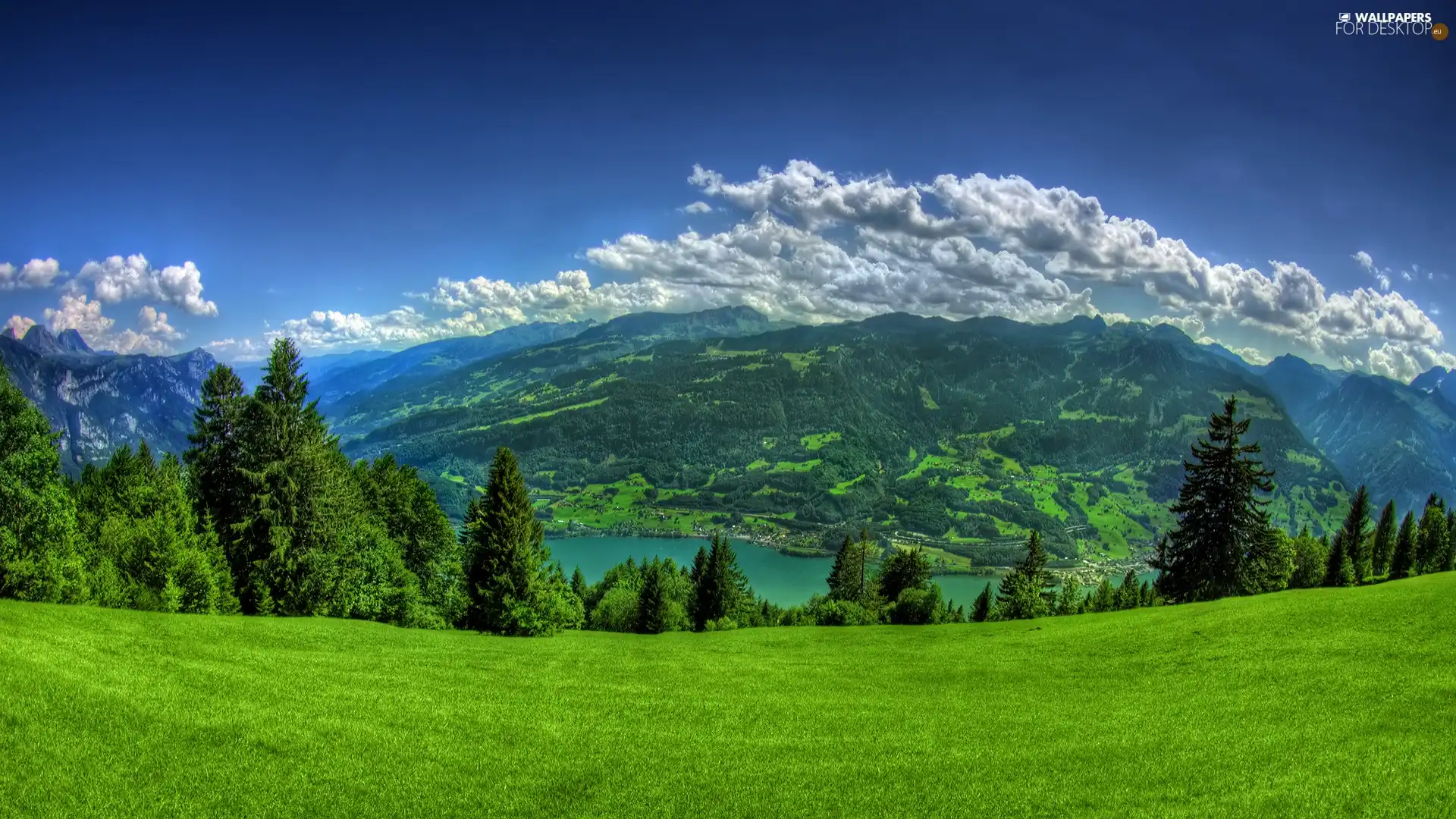 Meadow, Mountains, viewes, clouds, trees, Green