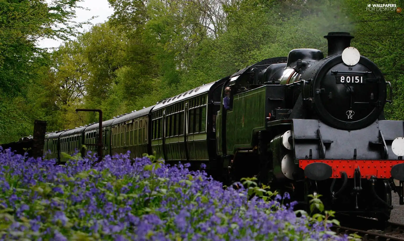 viewes, Flowers, locomotive, trees, Train