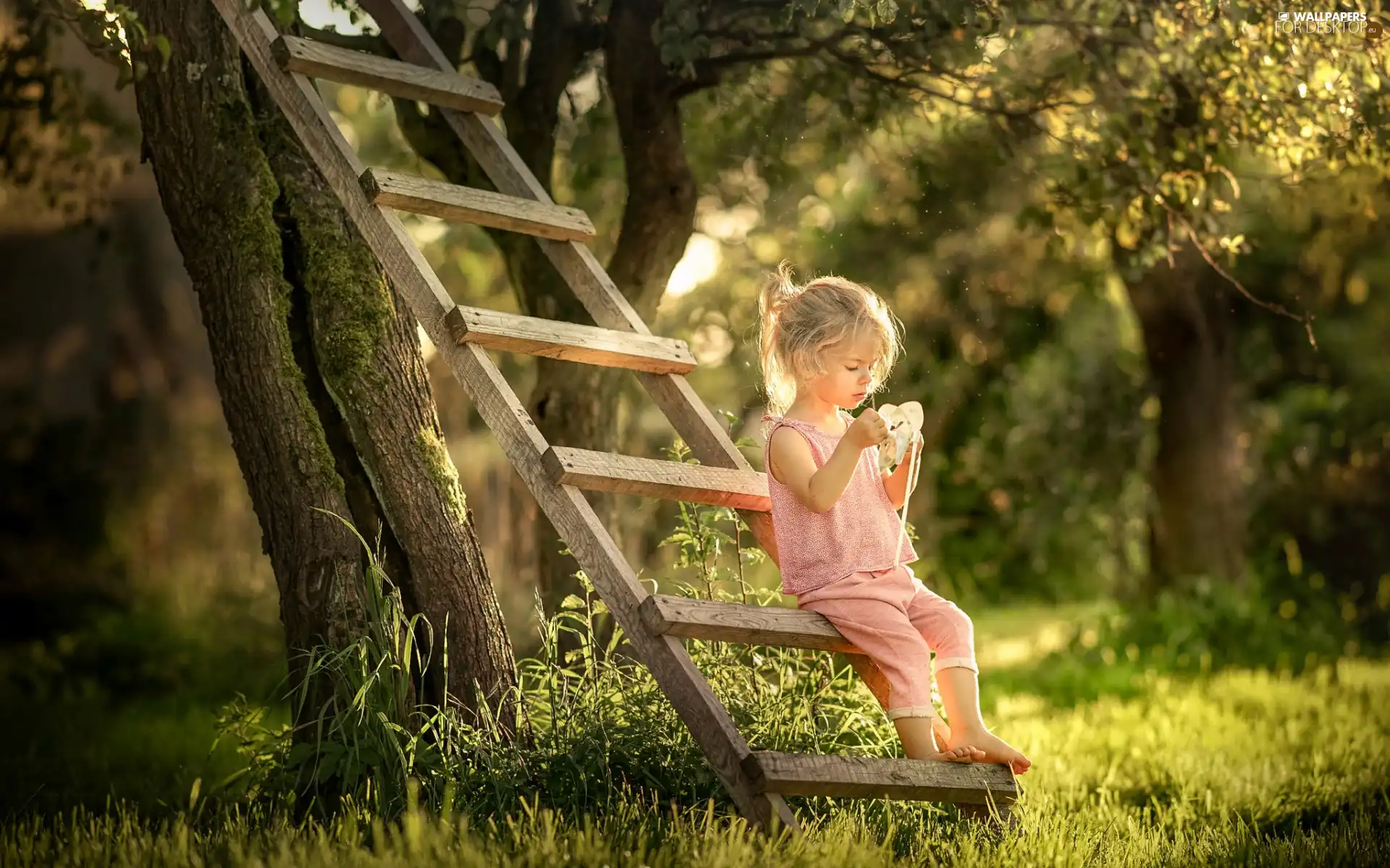 Garden, trees, girl, viewes, summer, Ladder, Kid