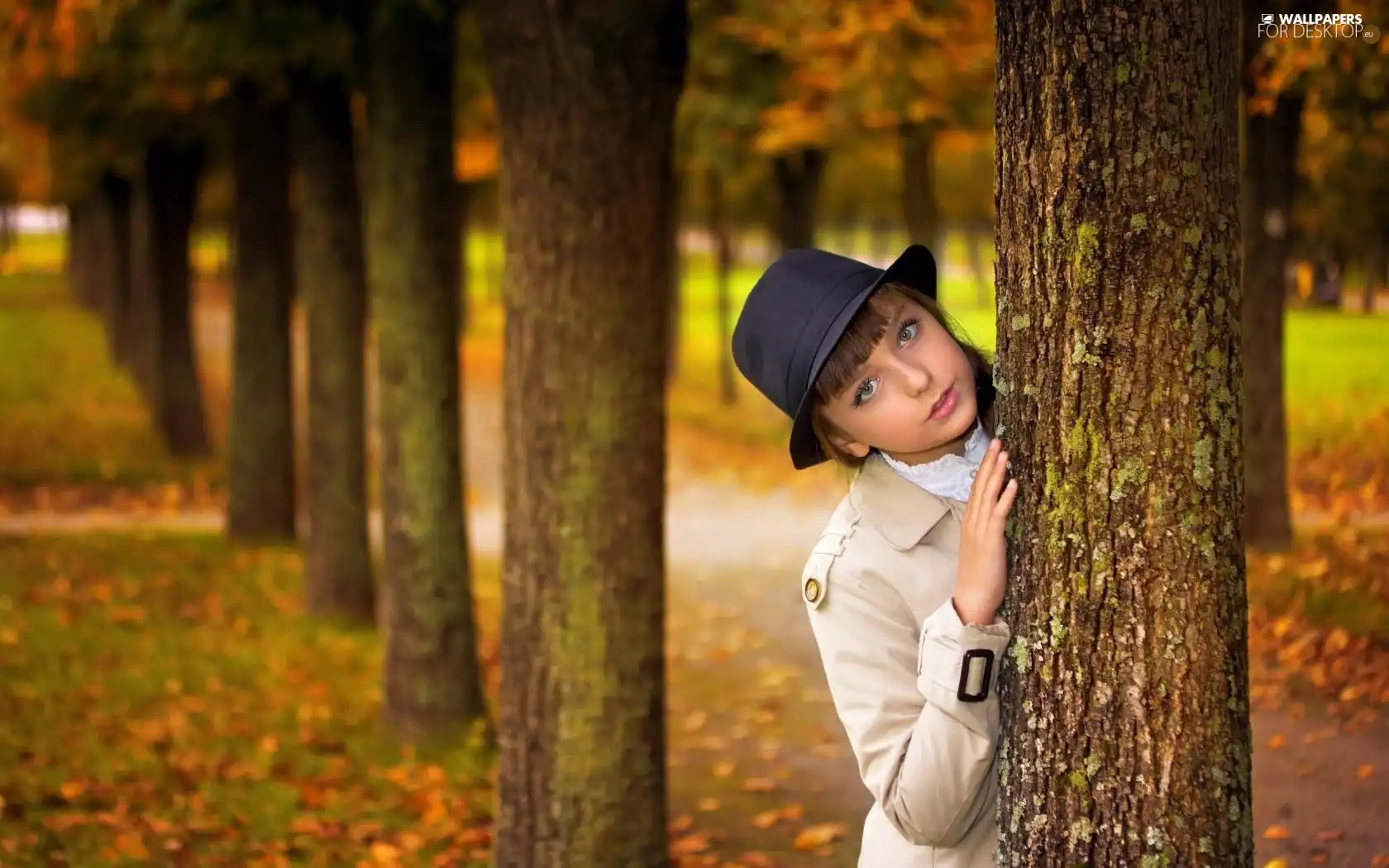 girl, trees, viewes, Park