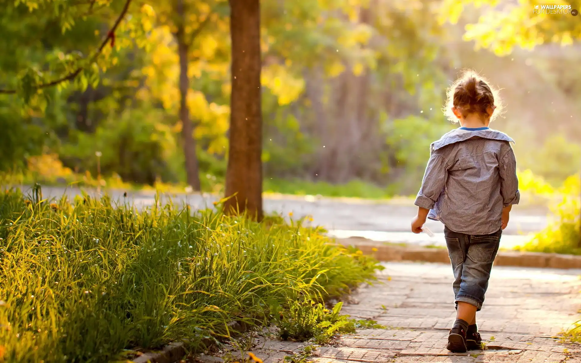 viewes, grass, Street, trees, girl