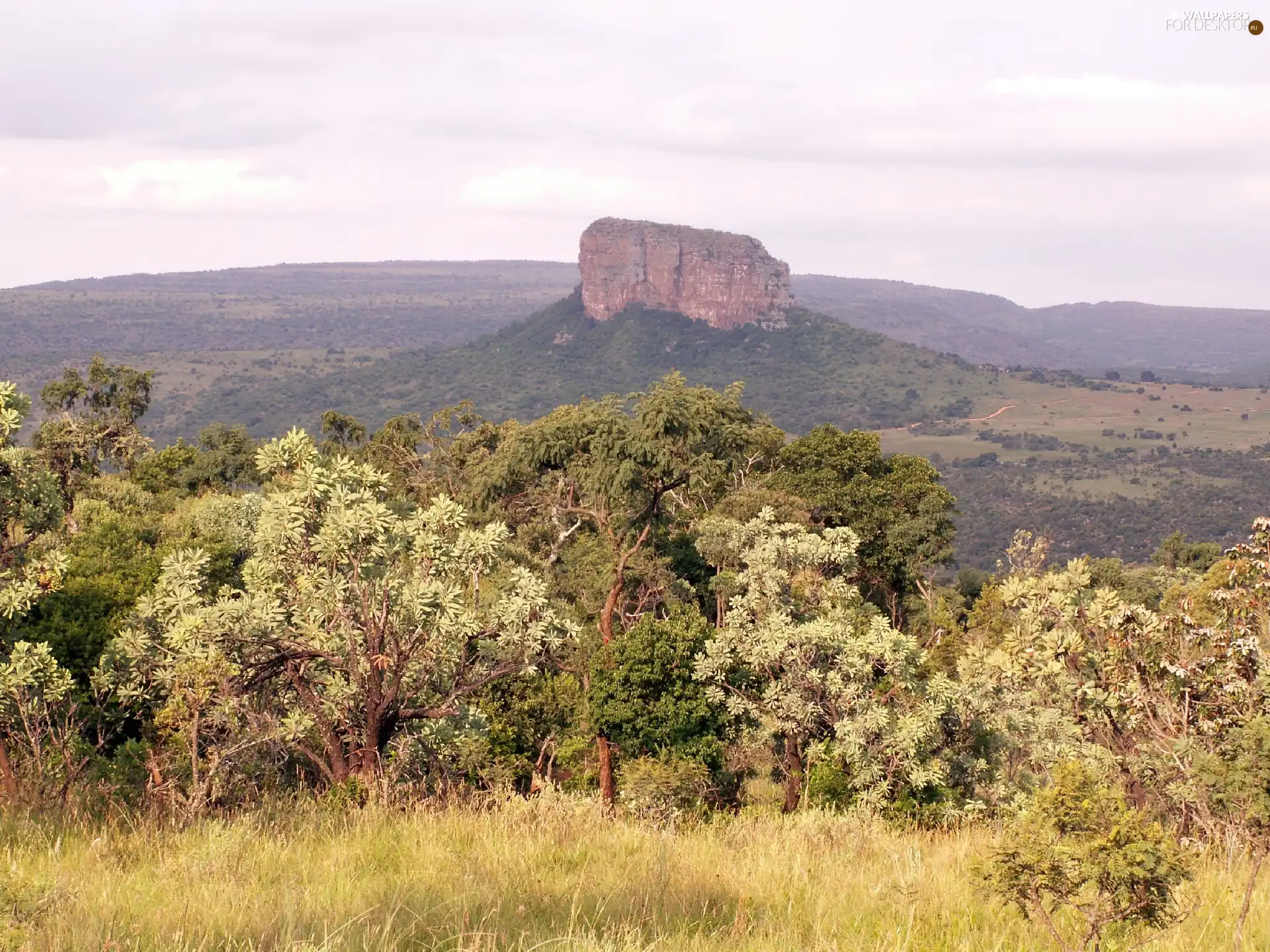 mountain, Waterberg, viewes, grass, trees, strand