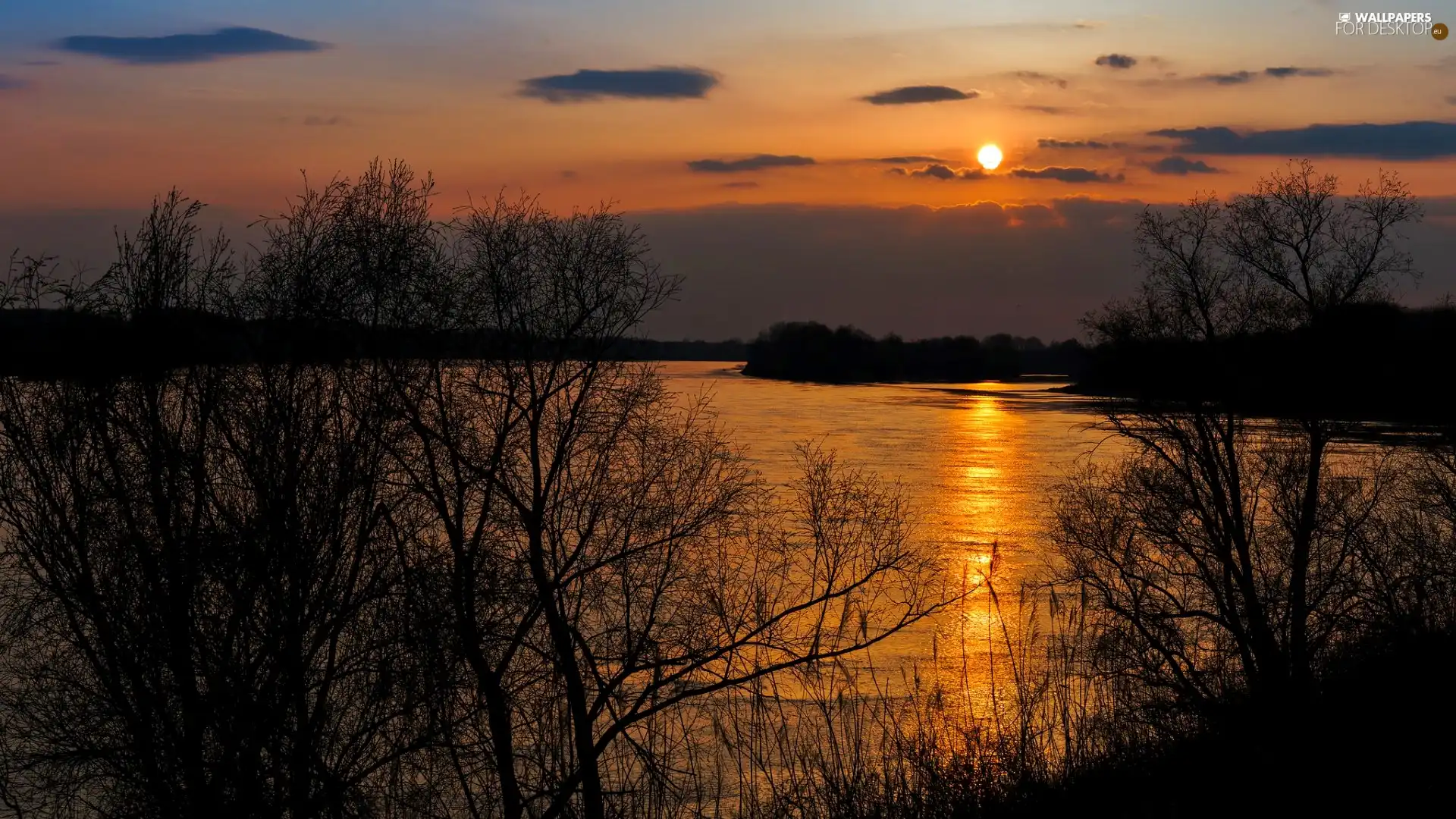 River, trees, viewes, Great Sunsets