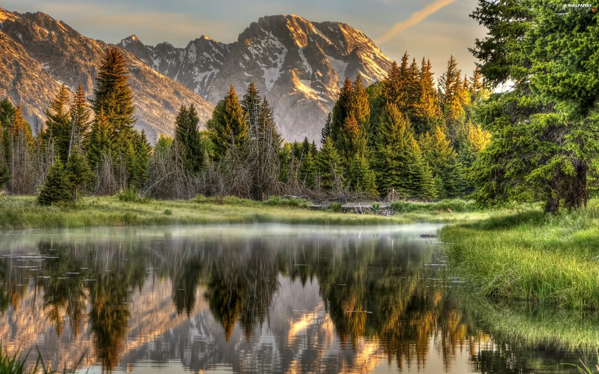 viewes, green, lake, trees, Mountains