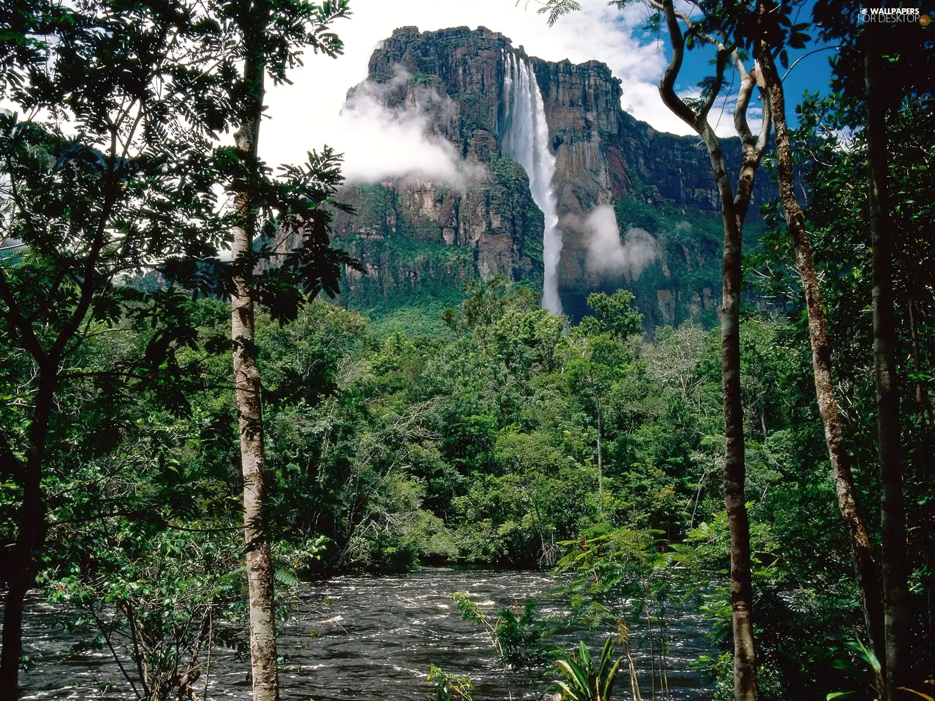 viewes, green, waterfall, trees, Orinoko