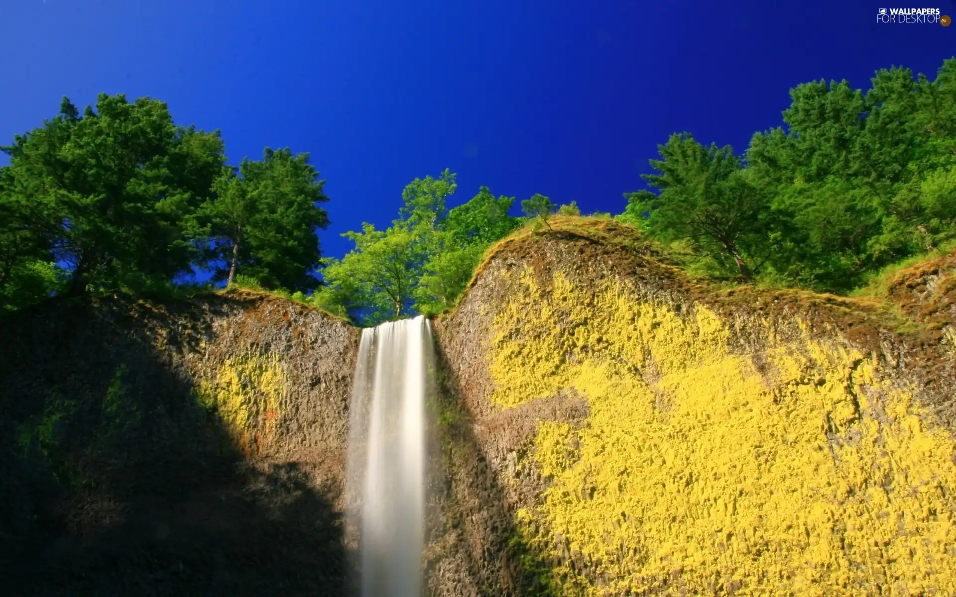 waterfall, trees, viewes, green ones