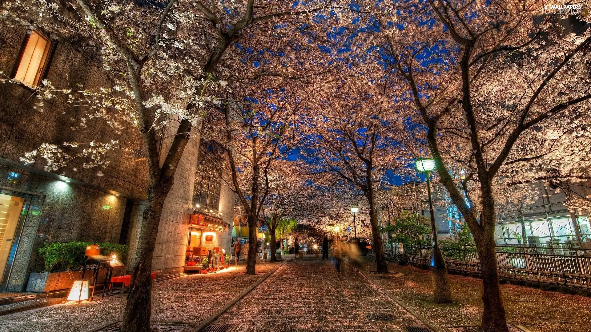 Houses, trees, viewes, Street