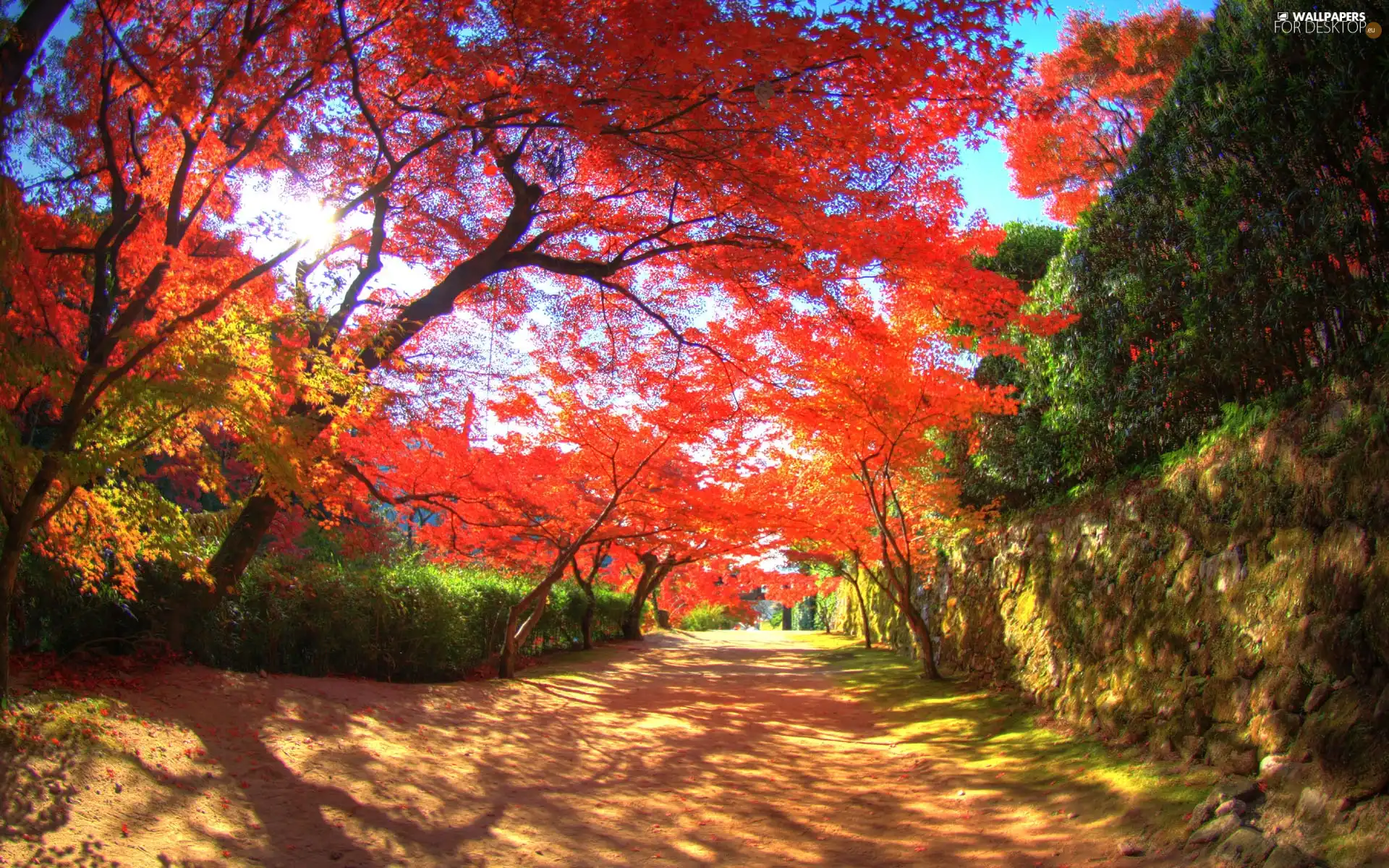 Kanzaki, trees, viewes, Park