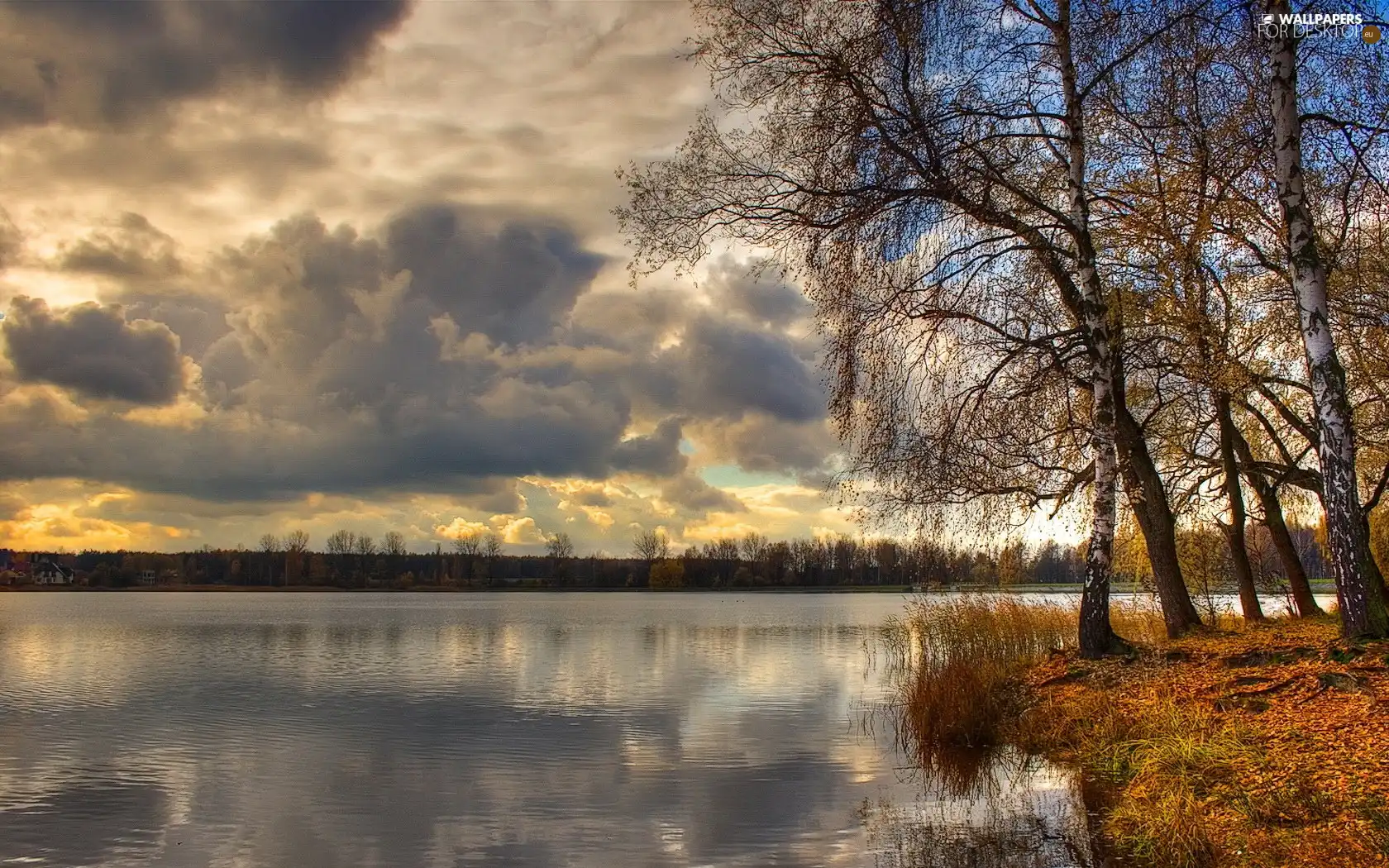 lake, trees, viewes, clouds