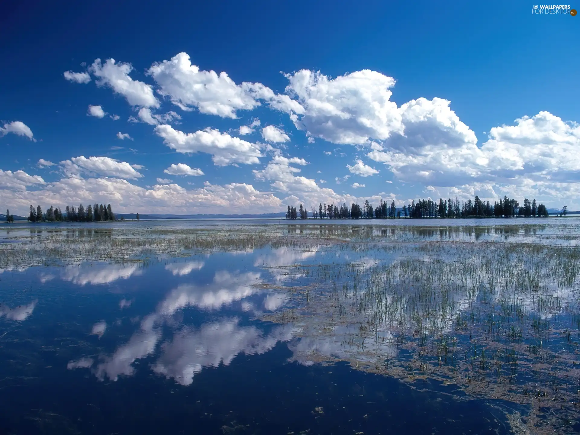 lake, trees, viewes, clouds