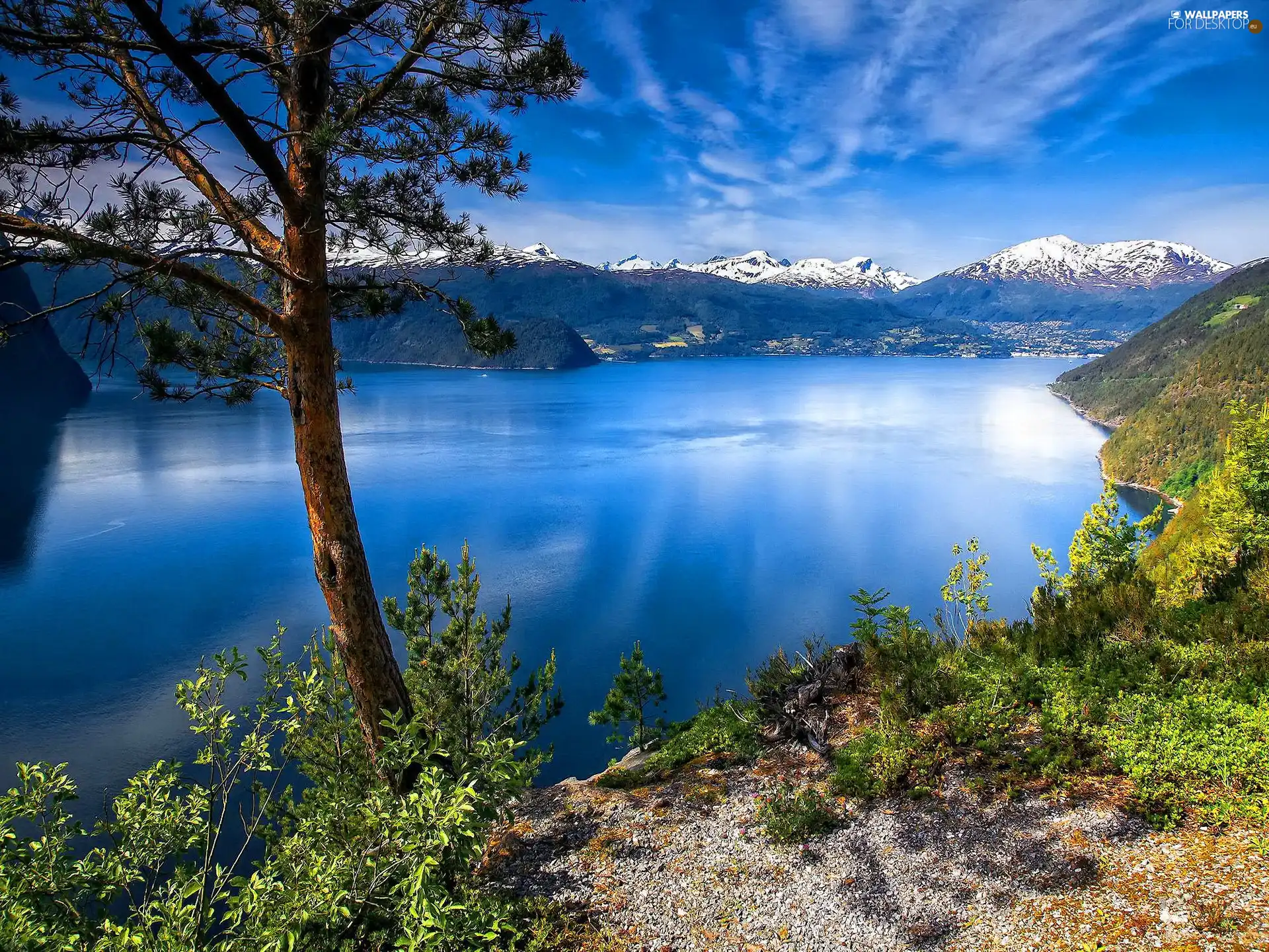 lake, trees, viewes, Mountains