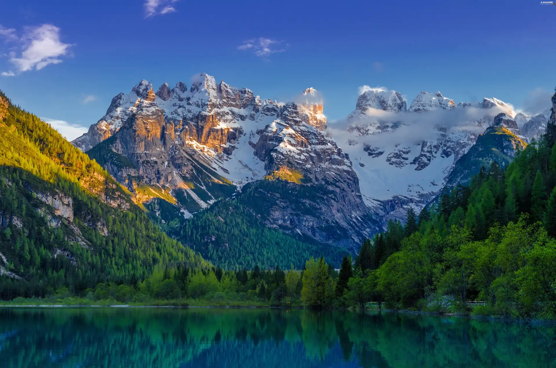 forest, Snowy, viewes, lake, trees, Mountains