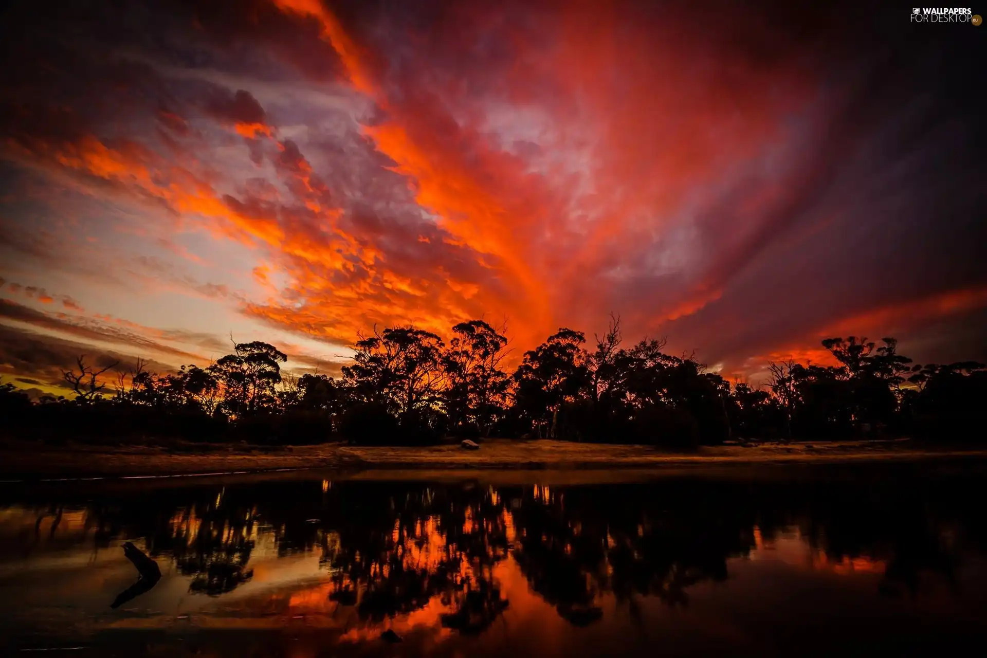 viewes, lake, sun, trees, west