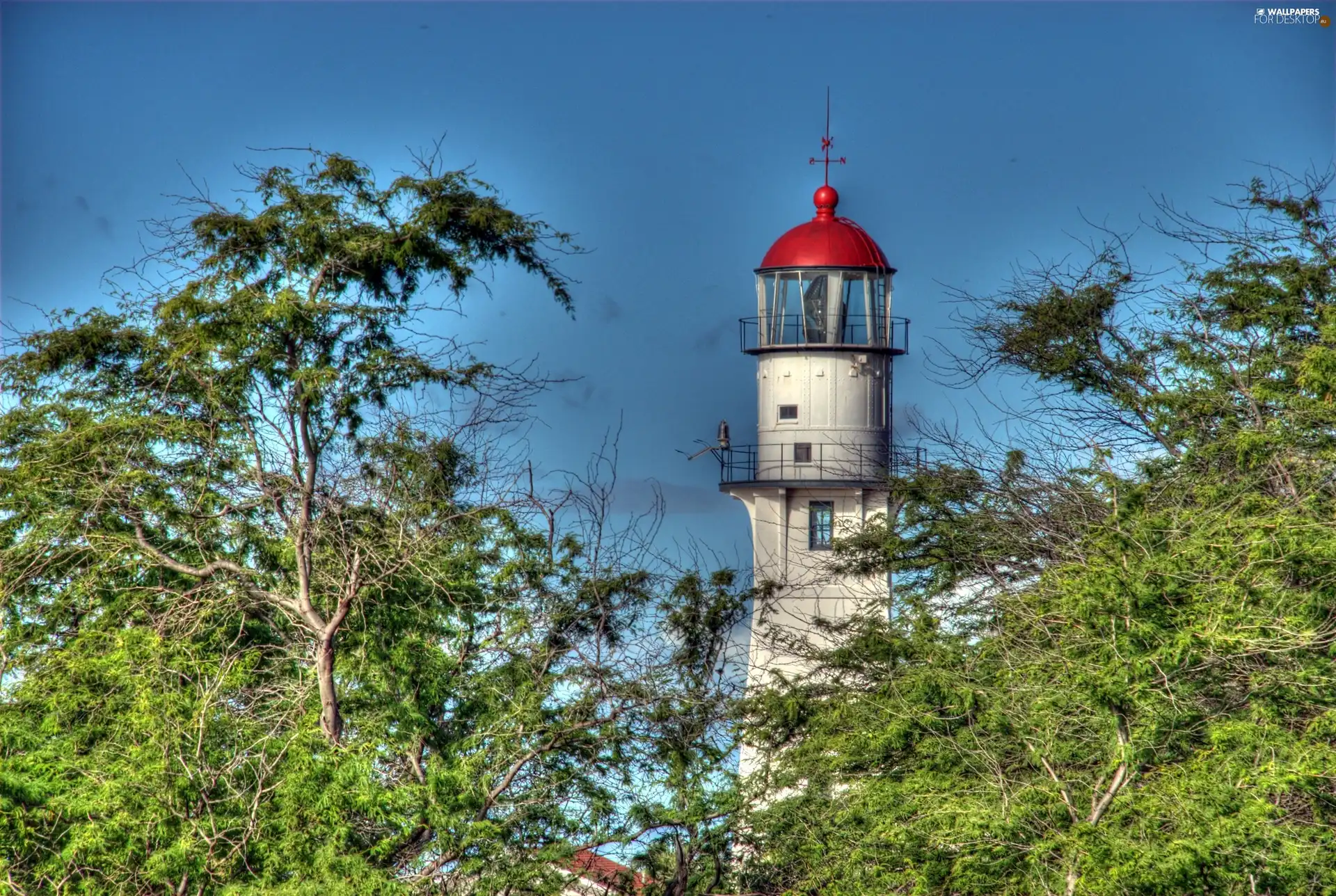 Lighthouse, trees, viewes, maritime