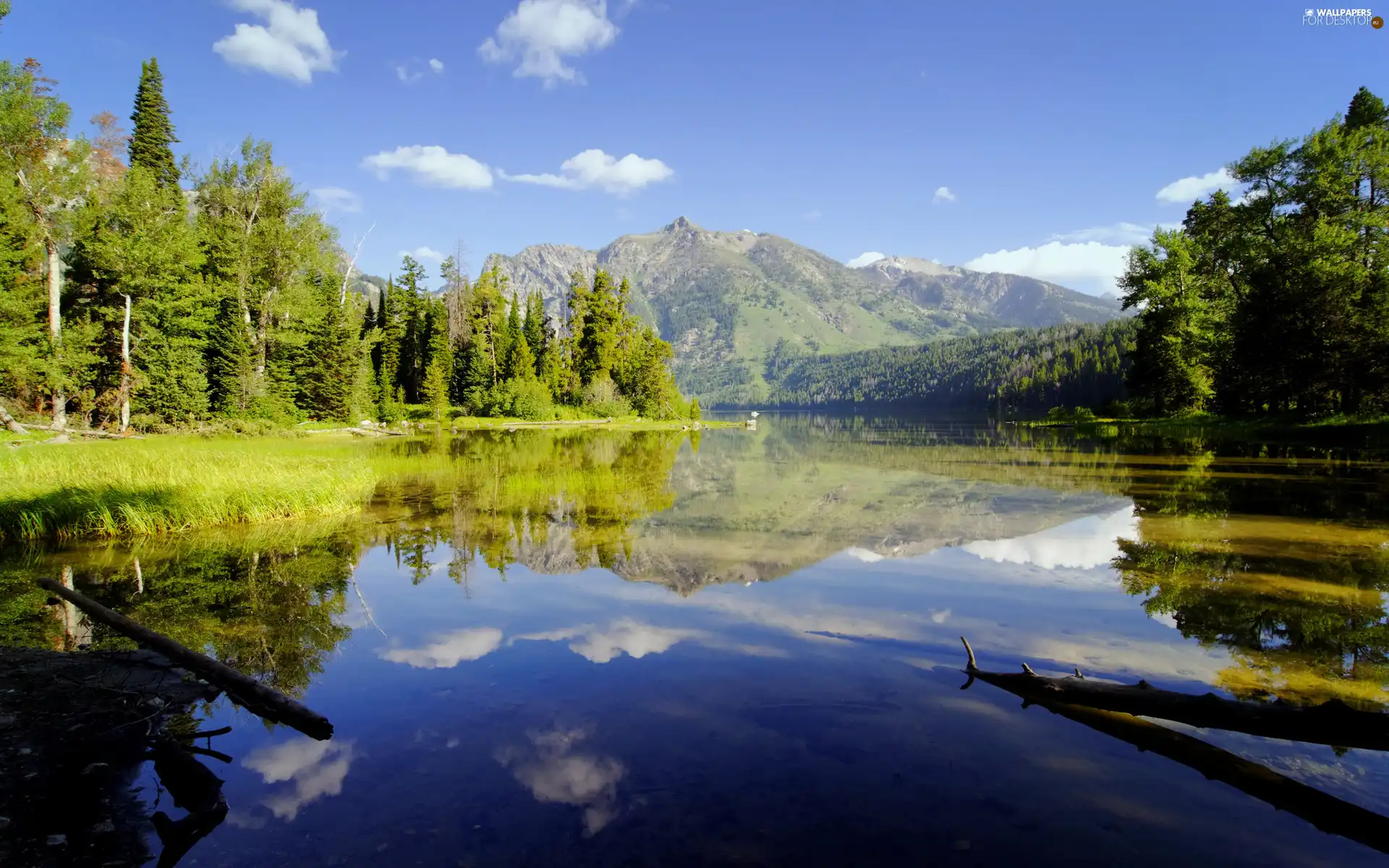 mountain, trees, viewes, lake