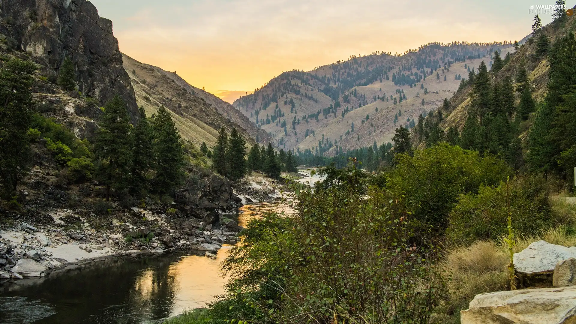 Mountains, trees, viewes, brook