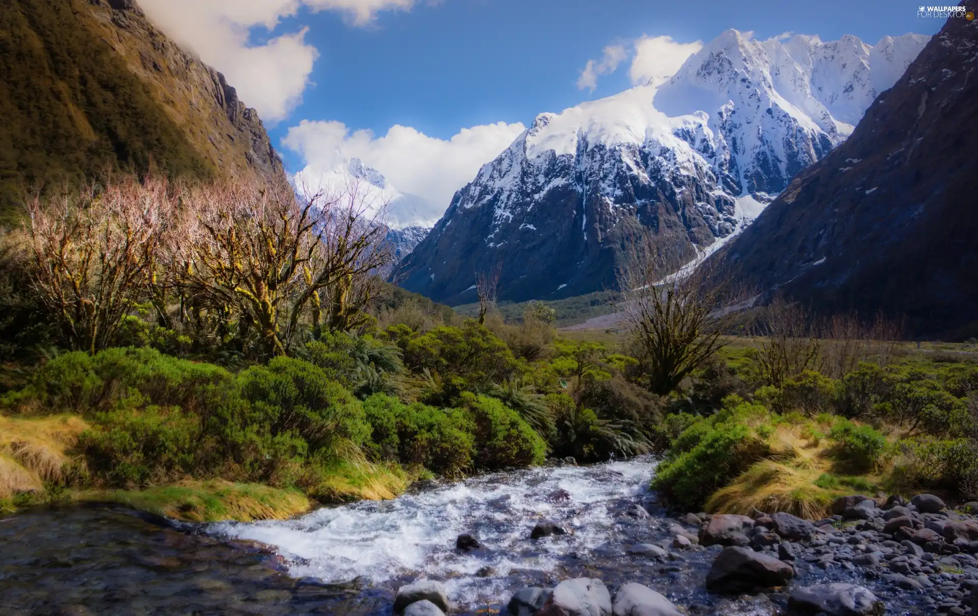 Mountains, trees, viewes, brook