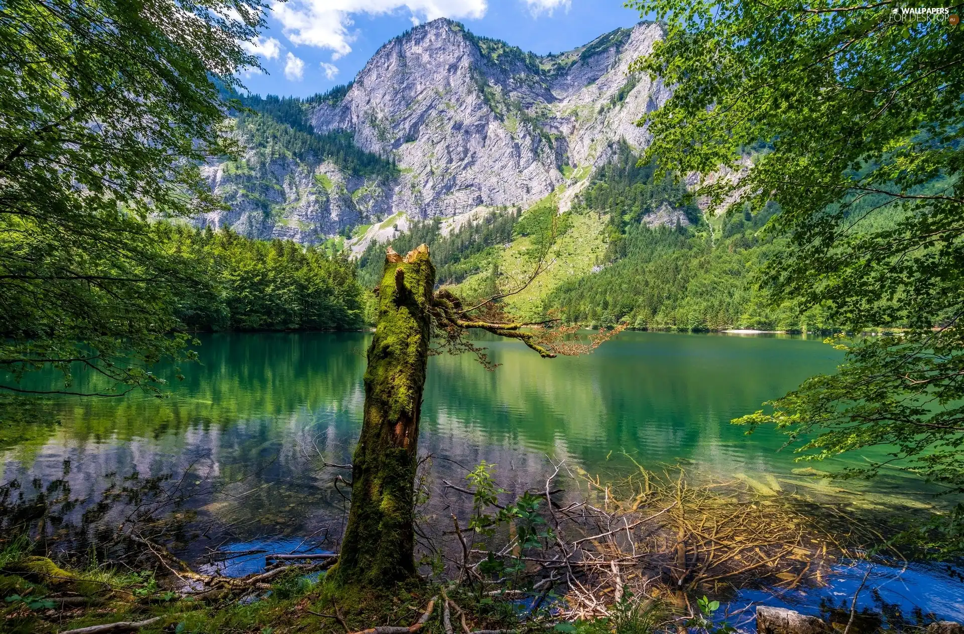 Mountains, trees, viewes, lake