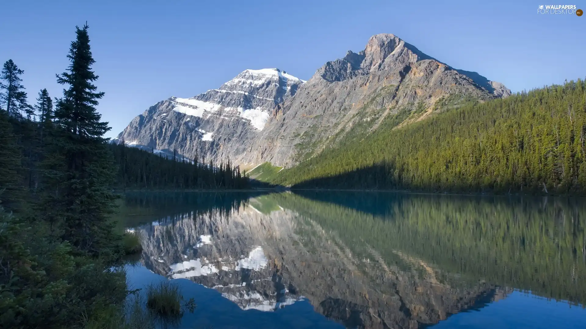 Mountains, trees, viewes, lake