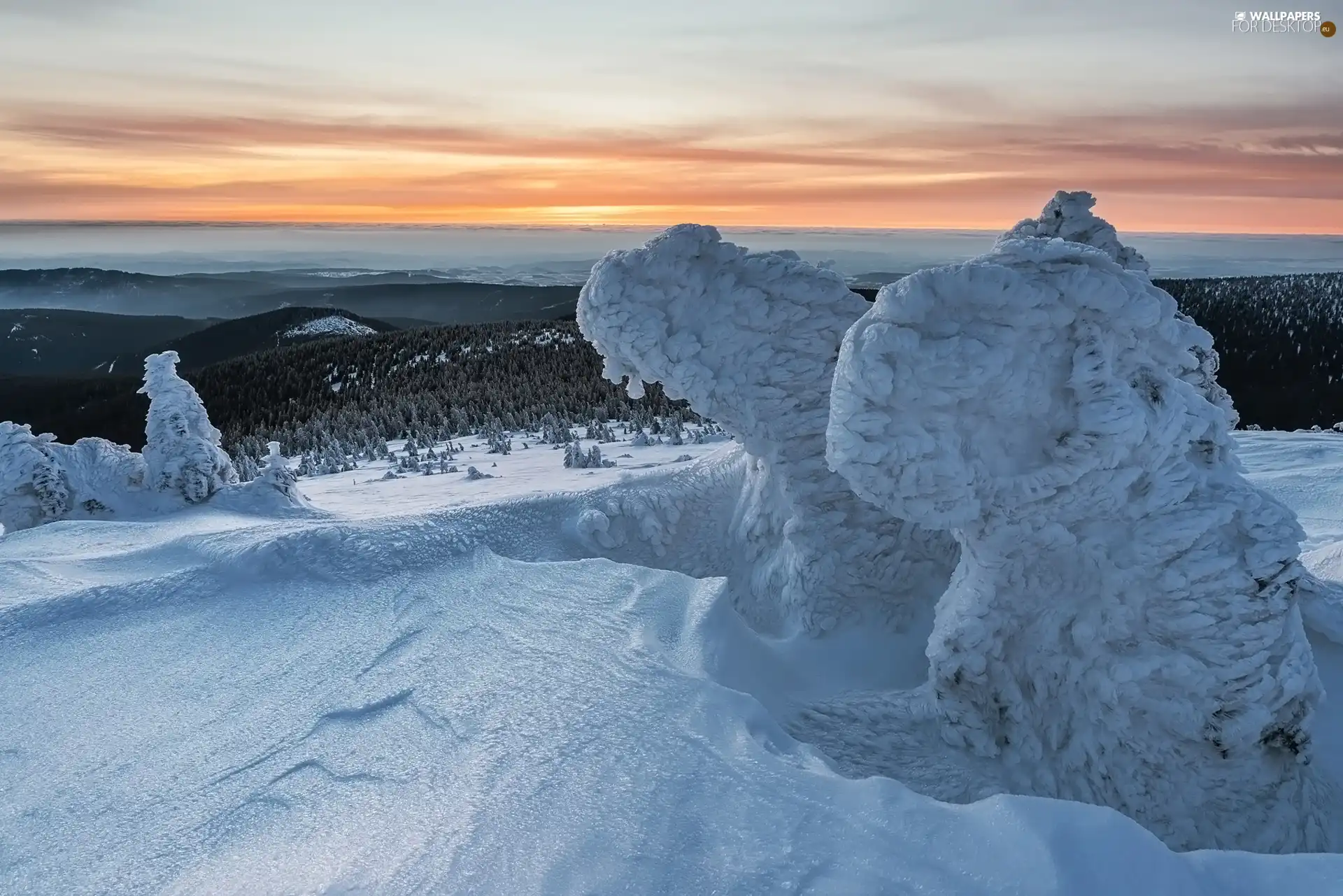 trees, viewes, Mountains, snowy, winter