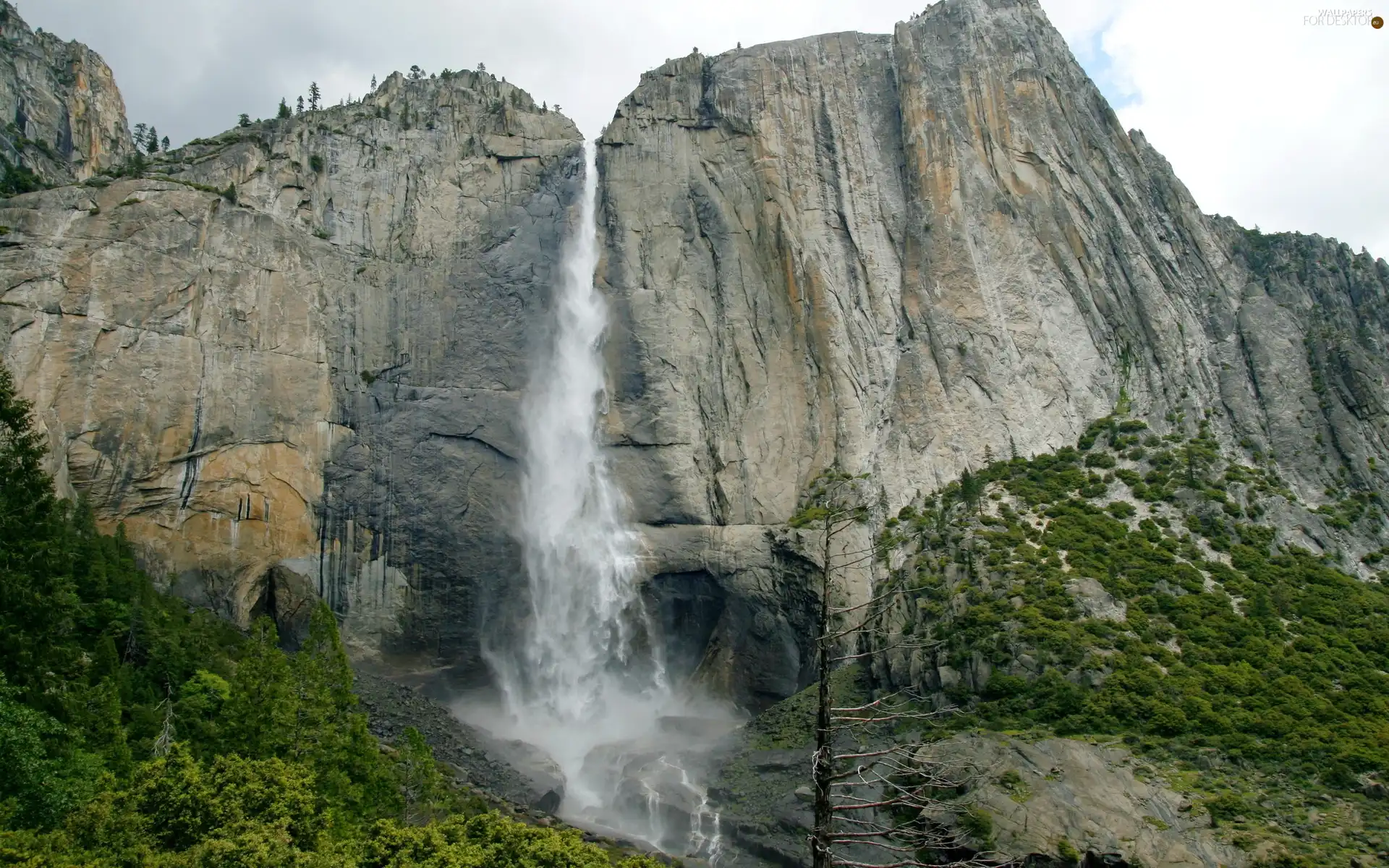 viewes, Plants, waterfall, trees, Mountains