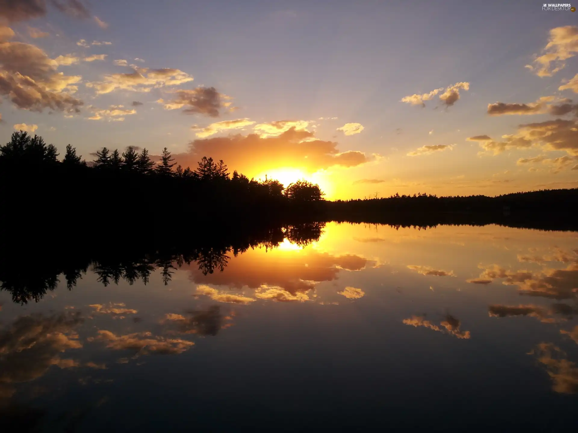 trees, sun, clouds, lake, west, viewes, reflection