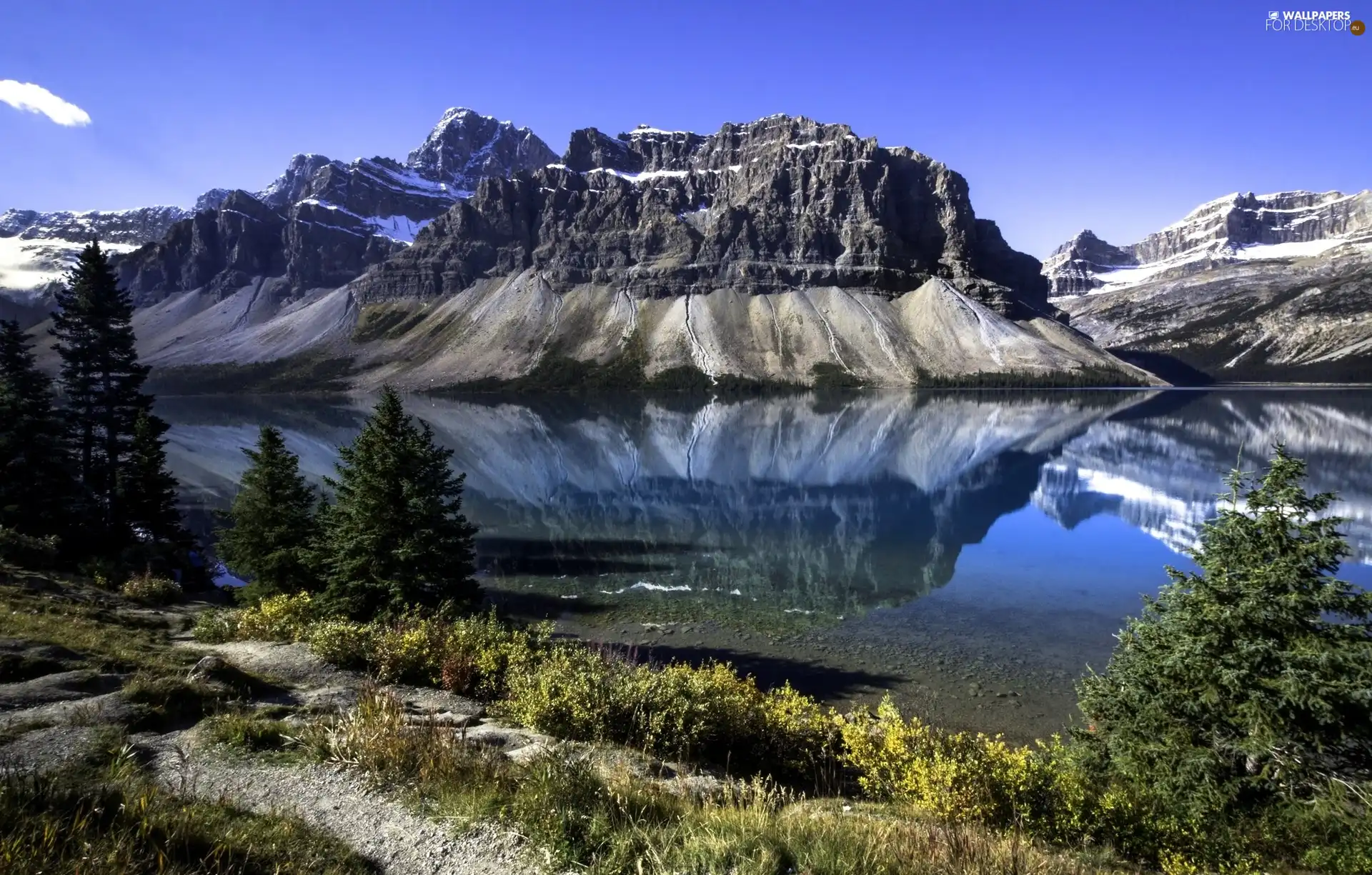 viewes, reflection, lake, trees, Mountains