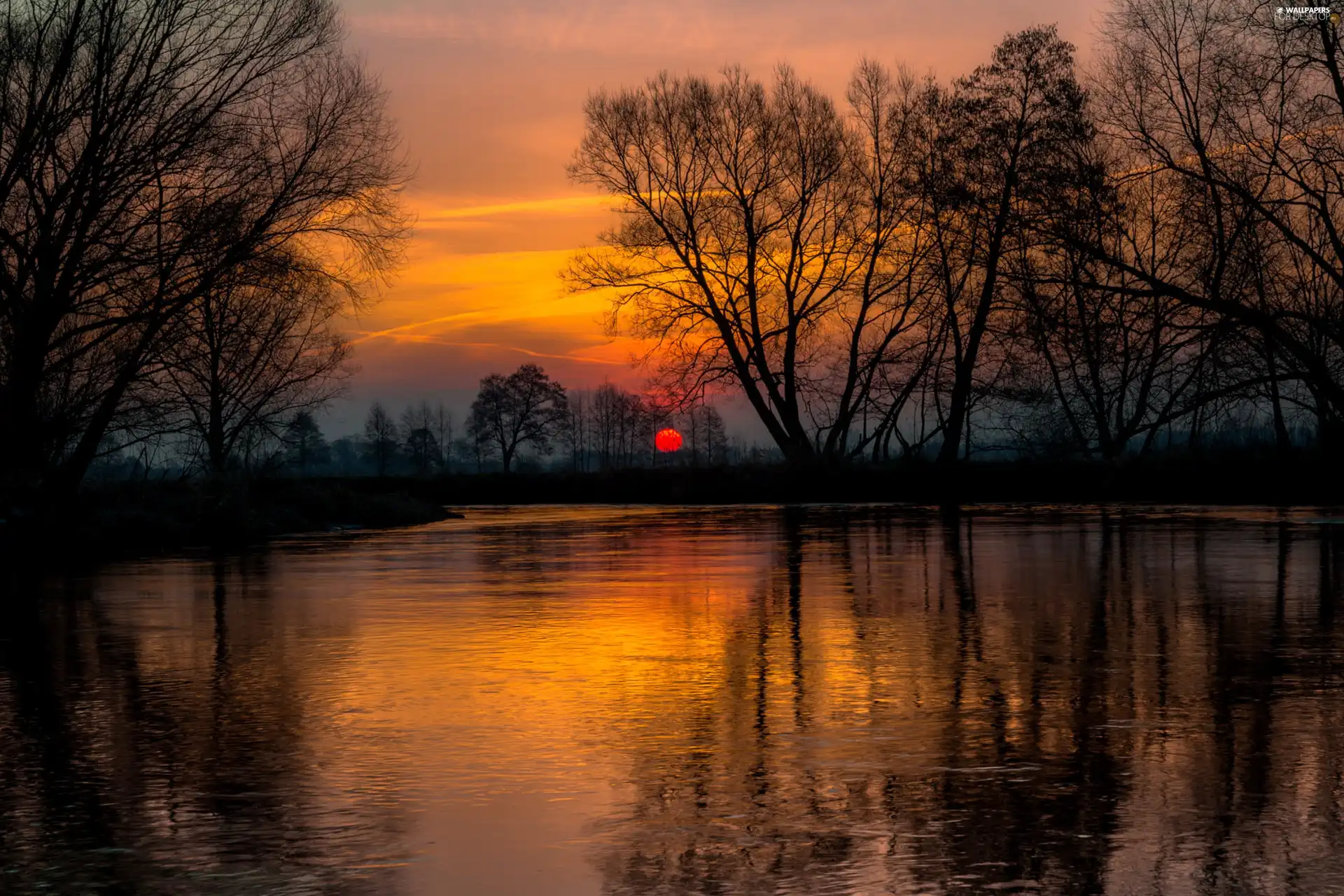 lake, west, viewes, reflection, trees, sun