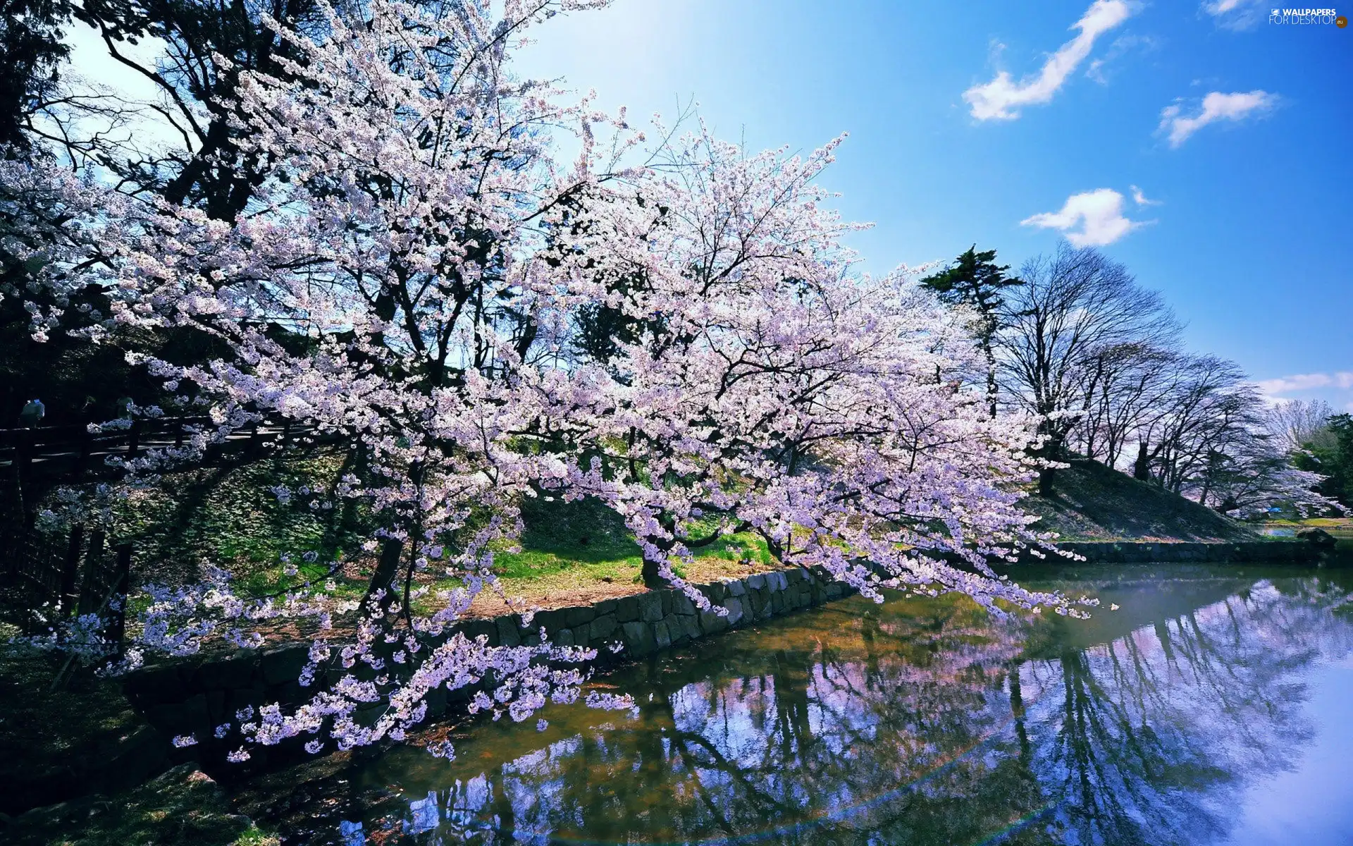 River, trees, viewes, flourishing