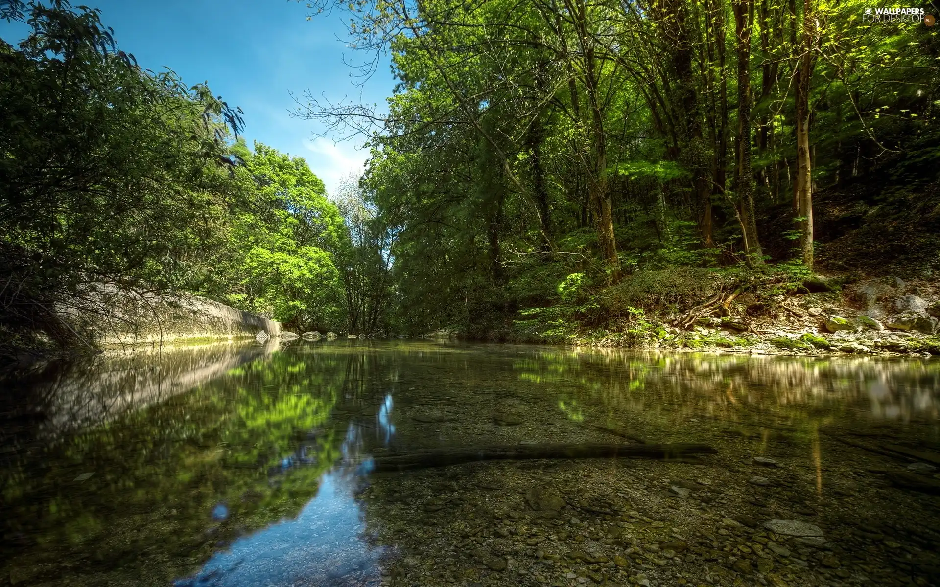 River, trees, viewes, Stones