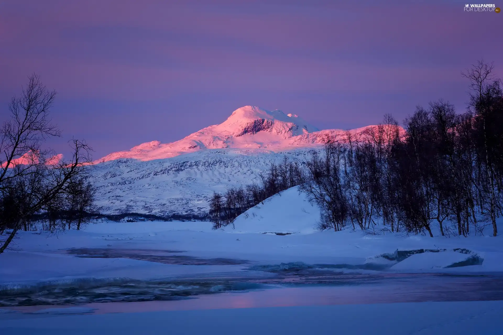 trees, viewes, River, Mountains, winter