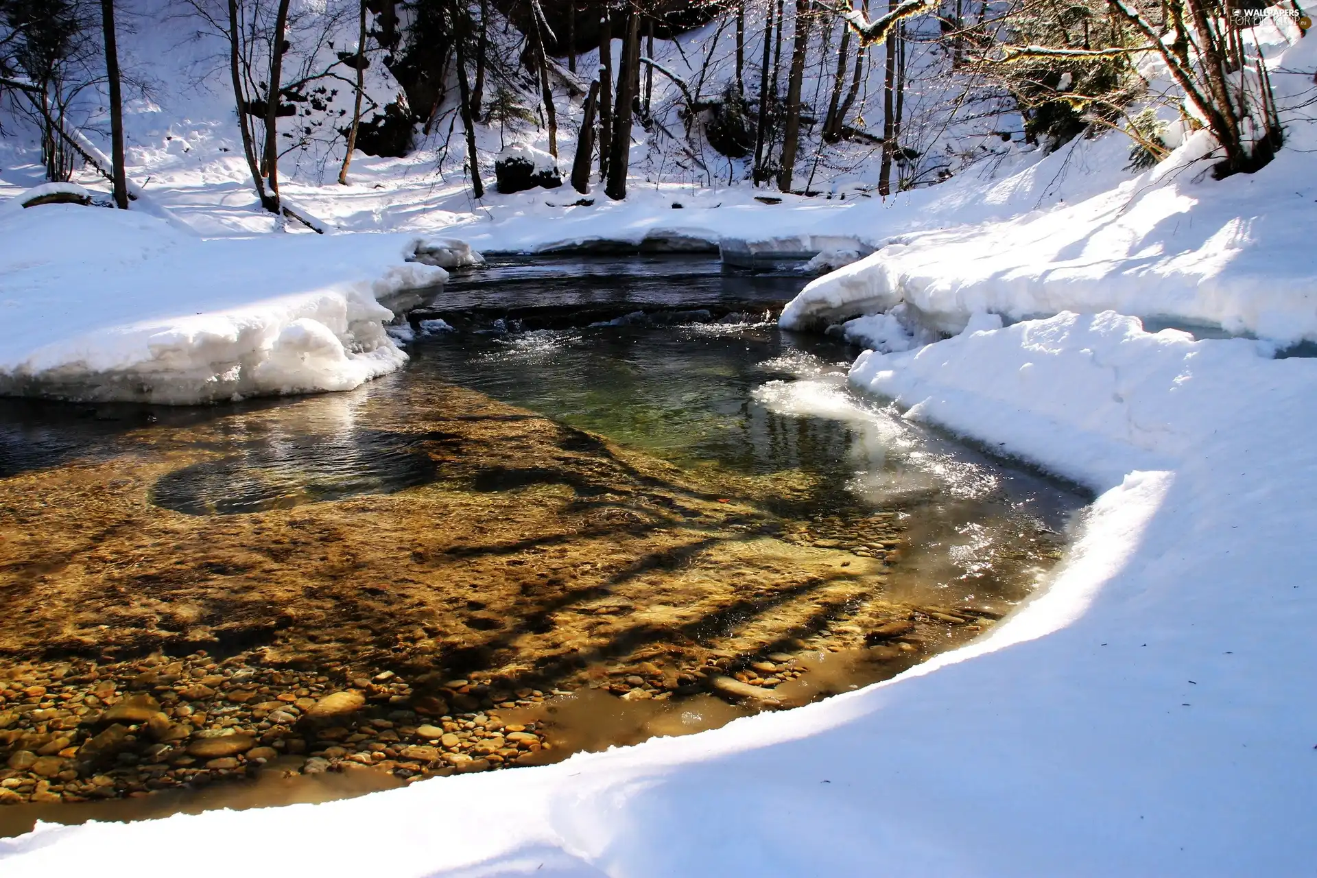 viewes, River, snow, trees, winter