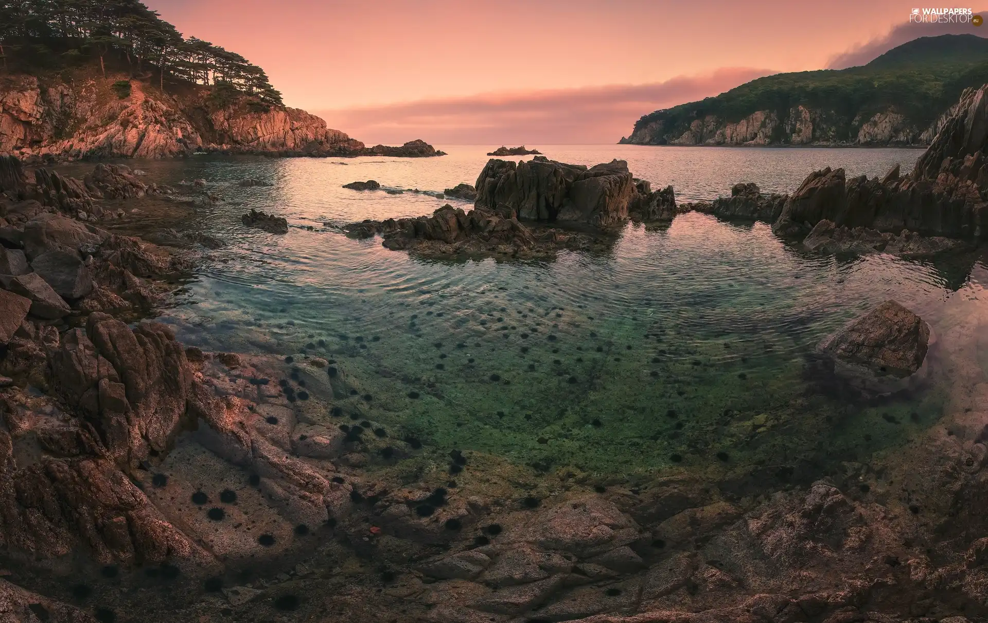 Coast, Sunrise, trees, viewes, rocks, sea