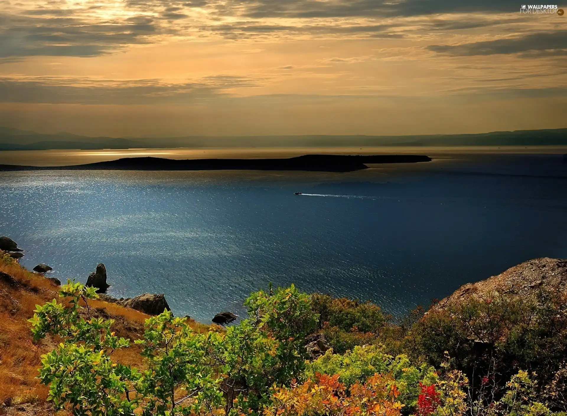 sea, trees, viewes, Islands