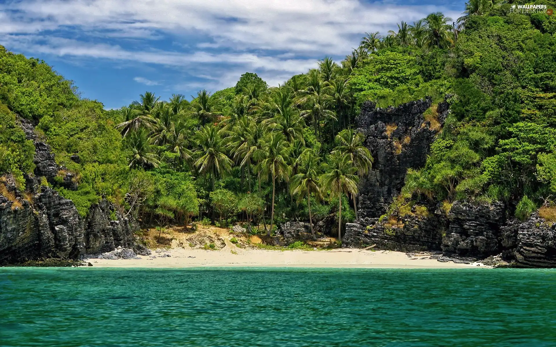 sea, trees, viewes, rocks