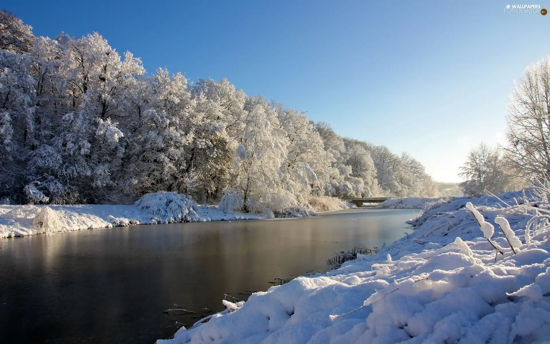 snow, trees, viewes, River